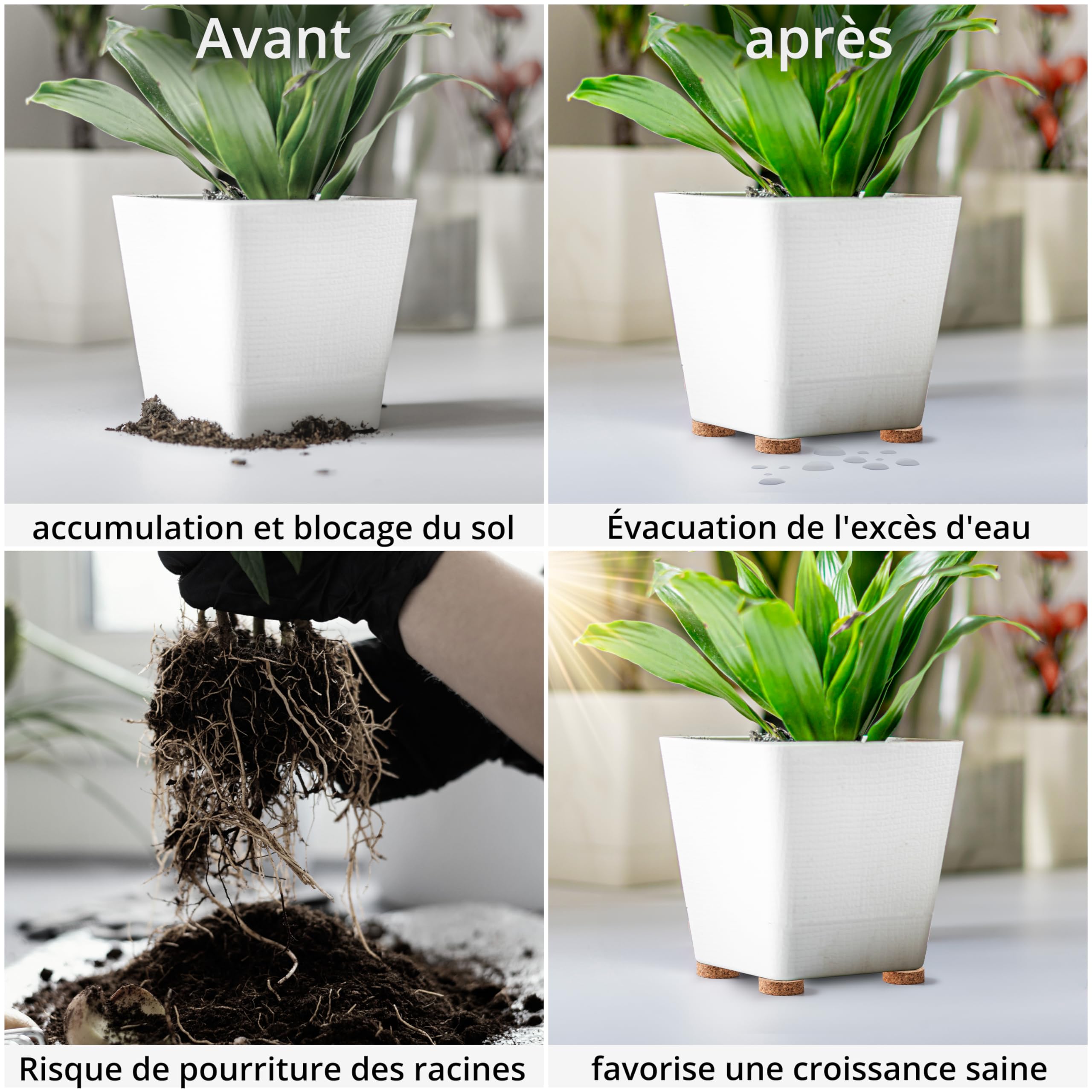 Winter Shore Dessous de Pot de Fleur en Liège Invisibles (Lot de 60) - 5 x 1,5 cm Cale Pot de Fleur - Antidérapants - Jardinières, Terrasse, Jardin, Patio, Carrelage, Sol en Pierre, Intérieur