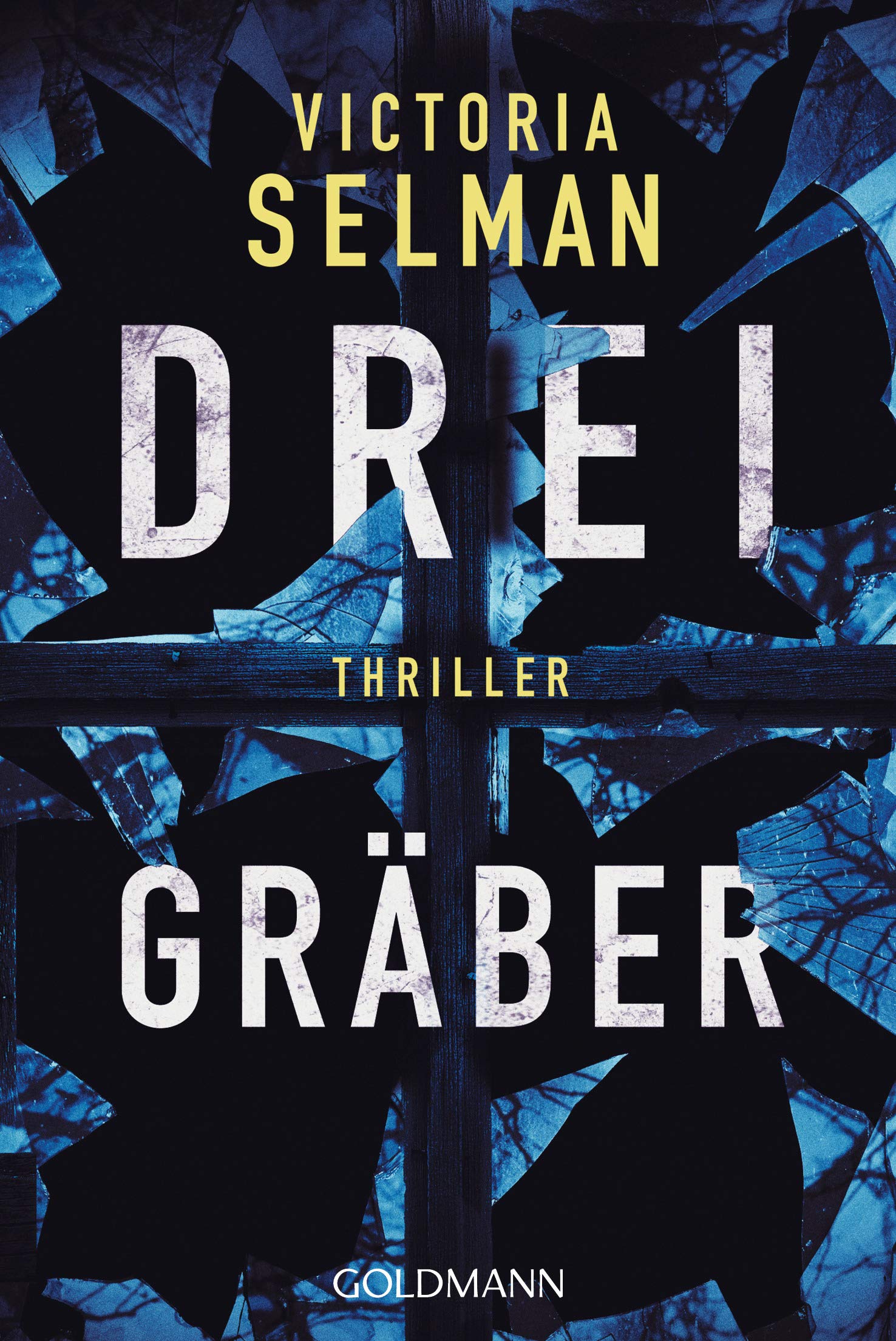 Drei Gräber: Thriller (Ein Fall für Ziba MacKenzie 2) (German Edition)