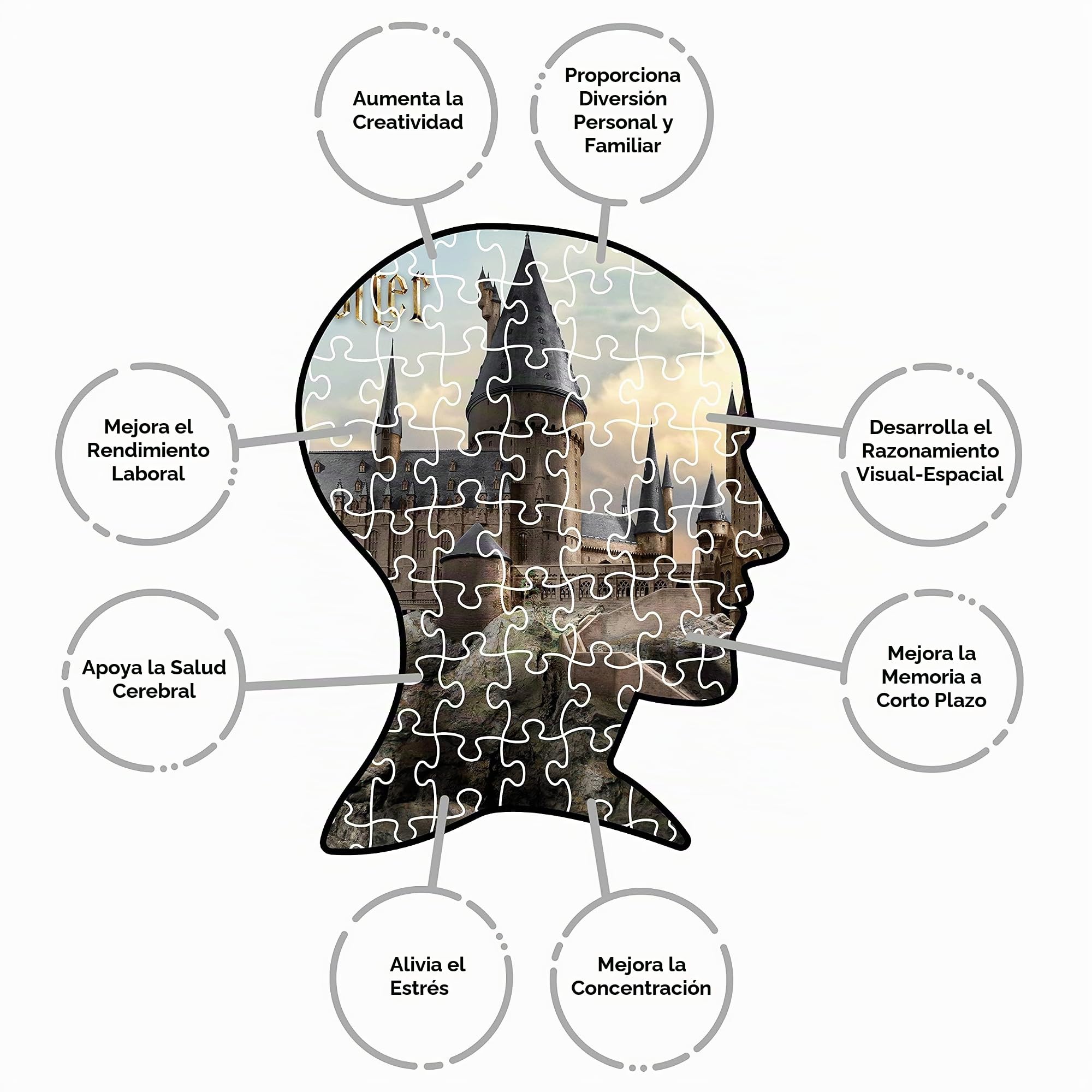 Puzzle Harry Potter Hogwarts - Puzzle 3000 Piezas/Producto con Licencia Oficial