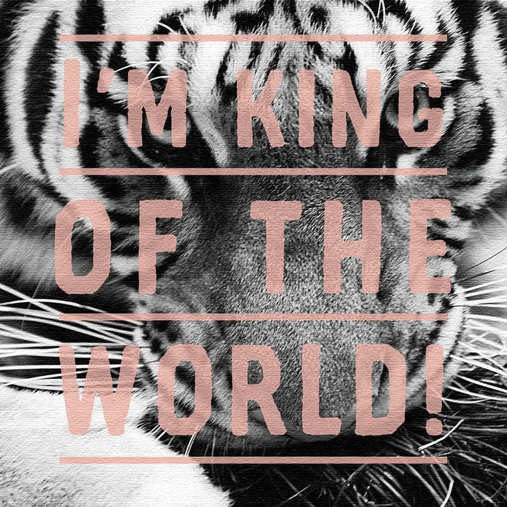 Amazon.co.jp: アートデリ ポスター パネル トラ 100cm × 100cm 日本製