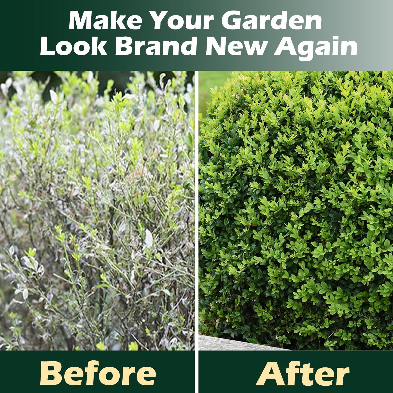Box Tree Caterpillar Treatment –10 x 5g Packs, 300㎡ Total Coverage – Individually Wrapped,Safe for Bees & Birds, Supports Healthy Buxus Hedges — view 5
