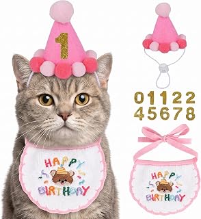 Cat Dog Birthday Hat with Bandana Set Pet Party Costume for Kittens