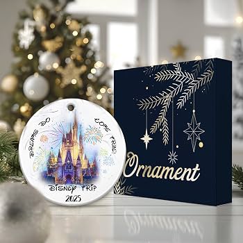 Amazon.com: Family Vacation Trip Ornament for 2026, Magic Kingdom
