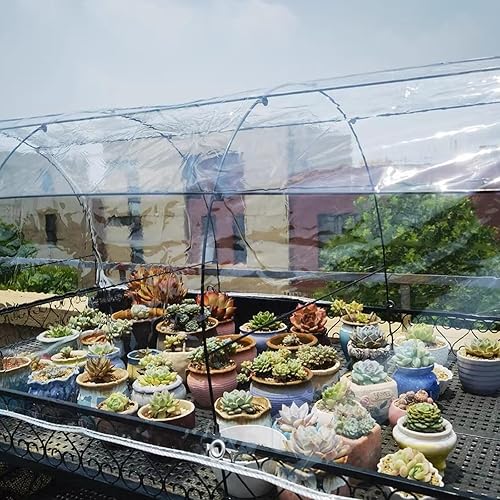 Miniatura 6 de EASTARP Lona de vinilo transparente resistente al agua, 6 x 10 pies y 0.709 in, resistente a los rayos UV, con ojales, cubierta para plantas,