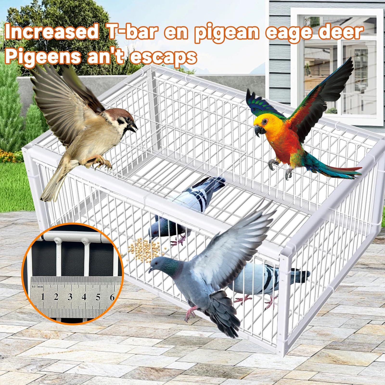 Trampa para Pájaros con Entrada Trampa para pájaros Jaula de Hierro para Palomas de Exterior. Trampa antiescape, Sistema de Captura automático(Black,60 * 40cm)