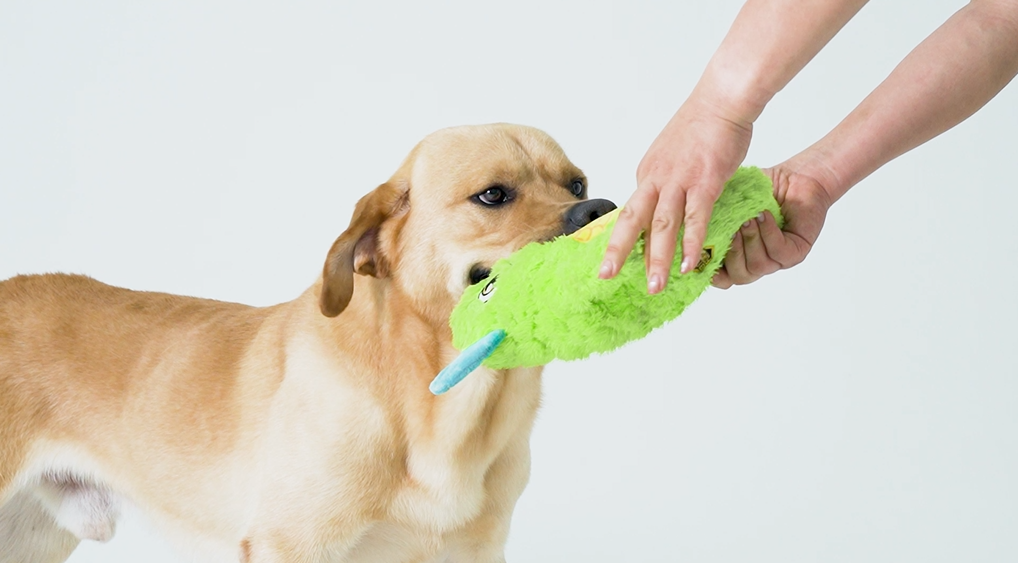 Pet Supplies : Bite Force Dog Toy - Large Durable & Strong Plush
