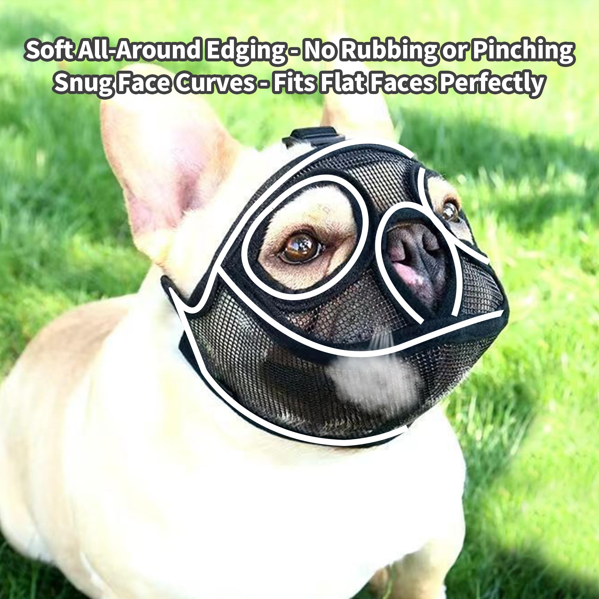View 4