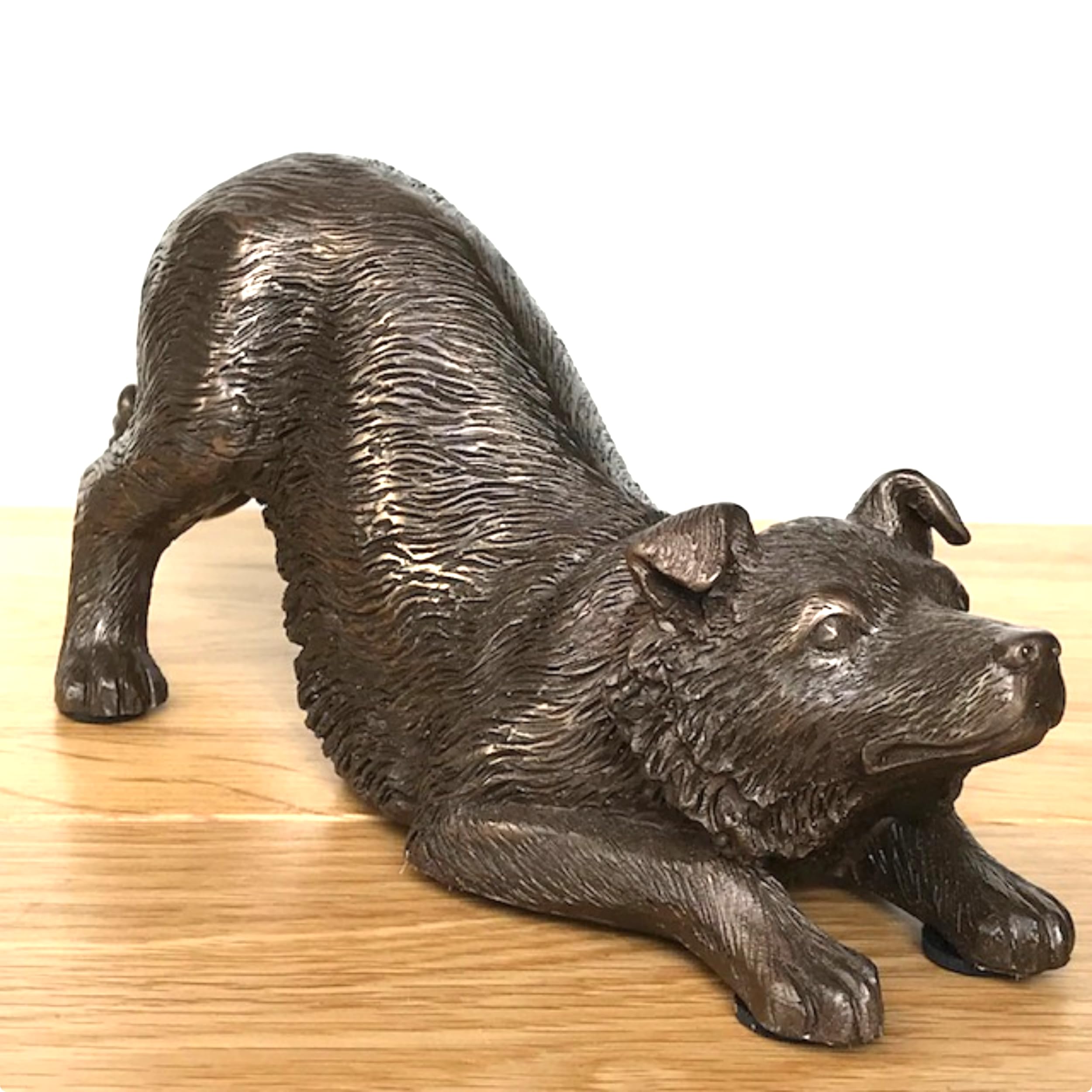 Animal Crackers Border Collie Dog figurine in solid cold cast bronze, heavy weight figurine, gift boxed