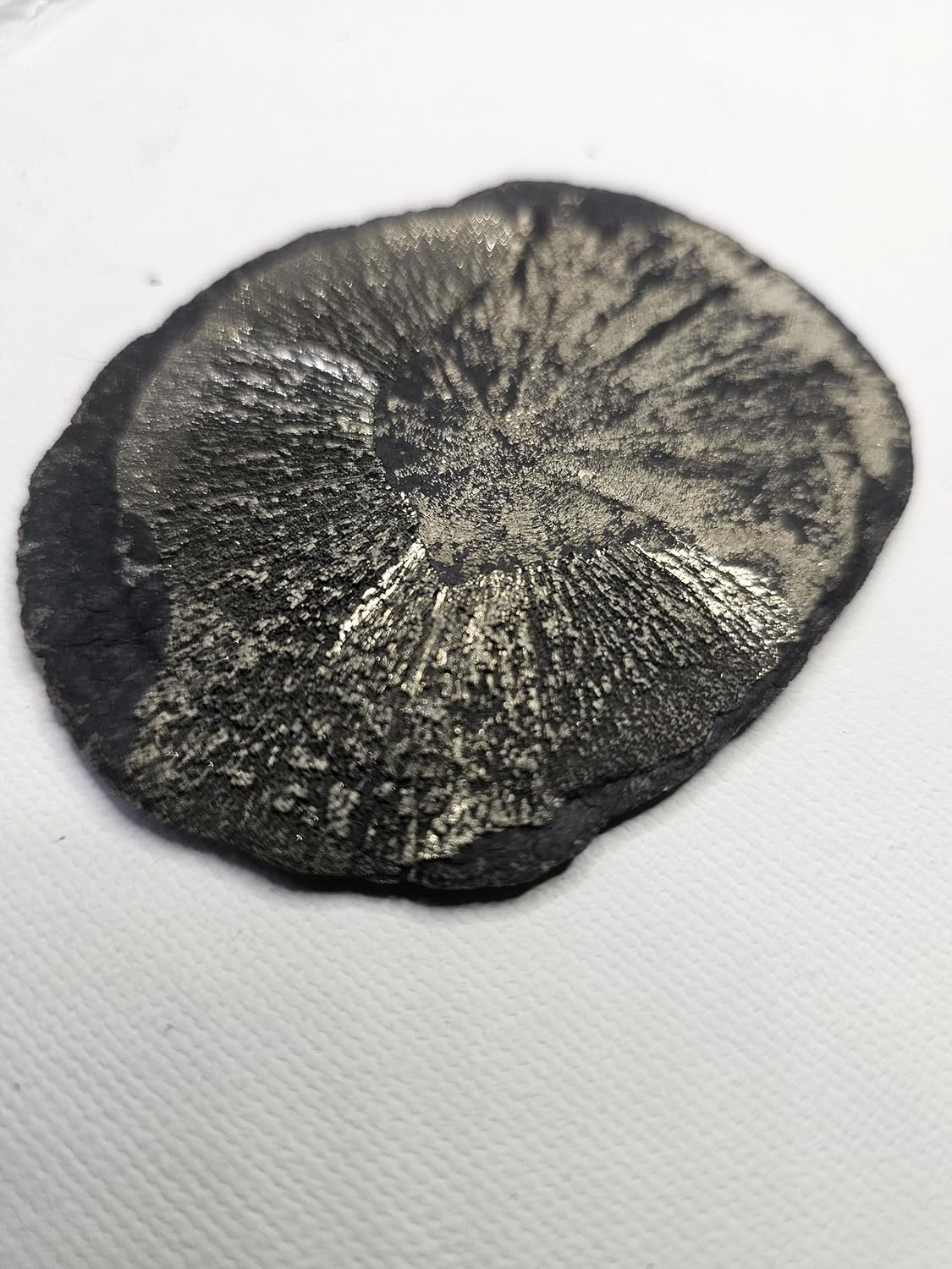 Authentic Rock, Crystal, Mineral, and Fossil Collection from North America (Pyrite Sun)