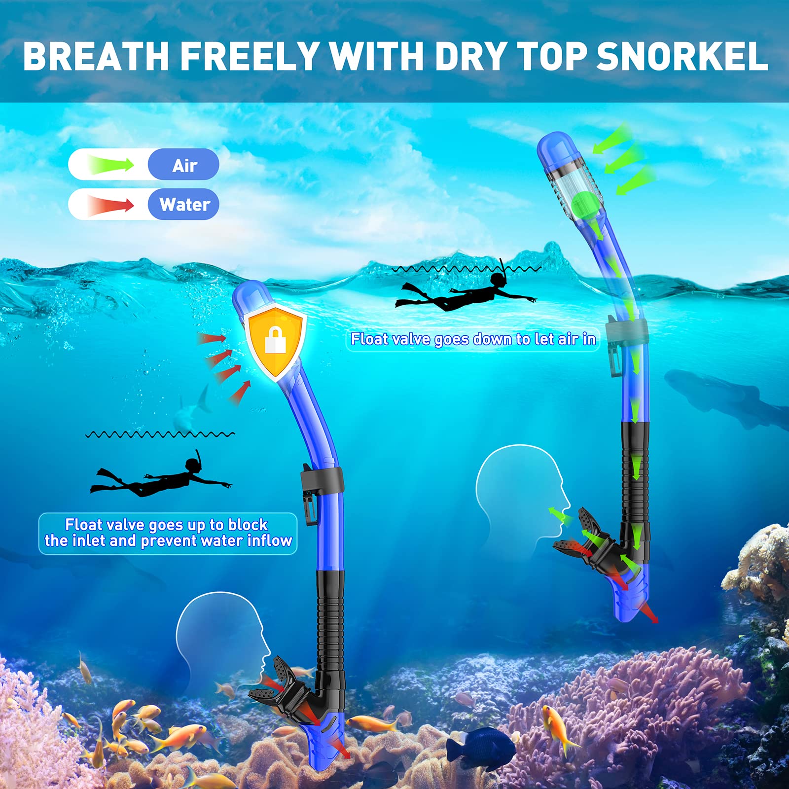 Arlierss Kit Snorkeling Complet Adulte – Masque Anti-Buée 180°, Tuba Dry, Palmes Réglables, Sac De Transport – Noir