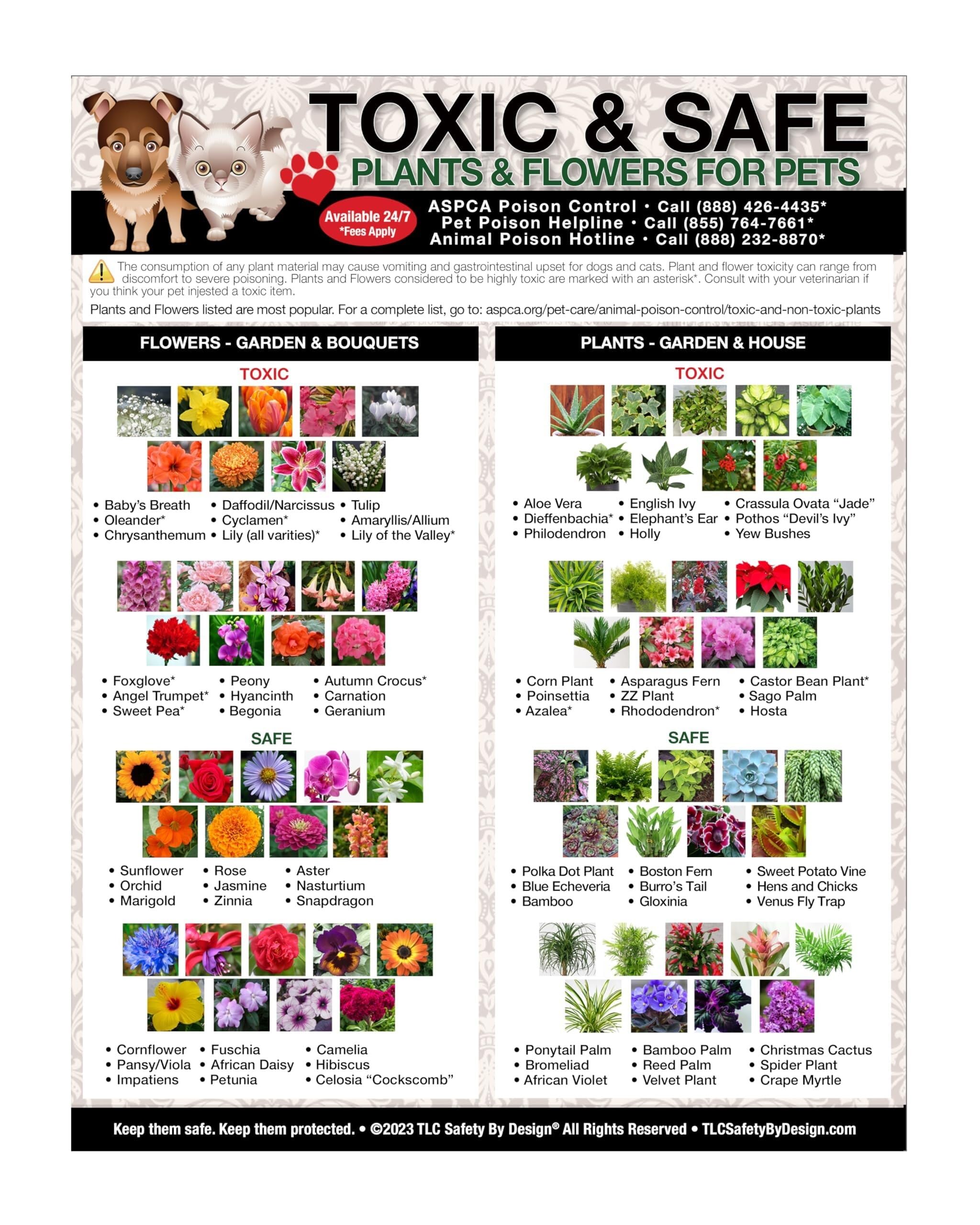 HGETJOHXEM Pet Poison Prevention Poster - Toxic Plants for Dogs & Cats Chart, Safe Houseplants Guide, Emergency Reference for Home, Shelter Wall-Art(Unframed,12x18inch(30x45cm))