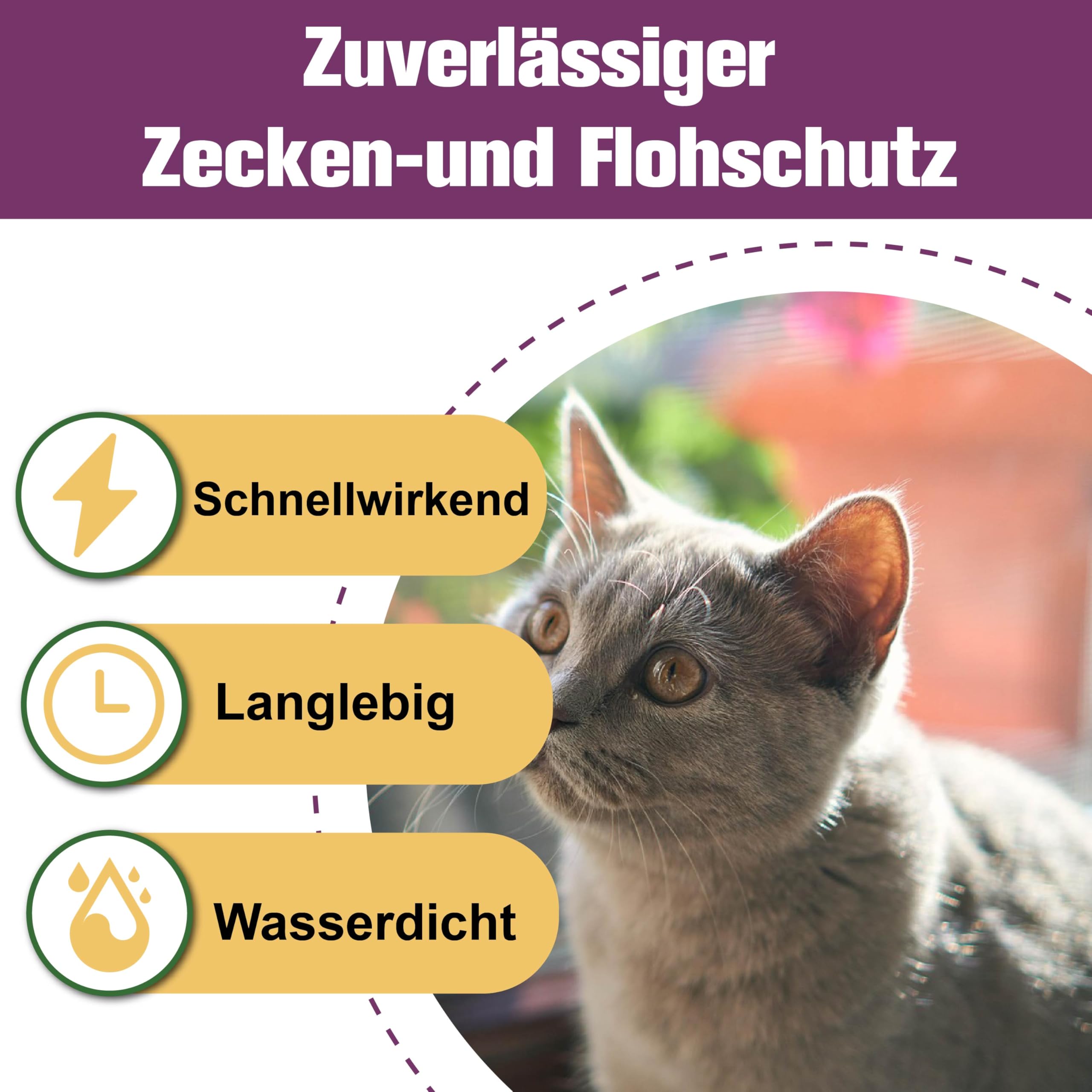 Zeckenschutz für Katzen 6 Pipetten, Spot On Katzen, Zeckenmittel für Katze, Katze flohmittel entwurmungsmittel für Katzen, gegen Flöhe & Zecken
