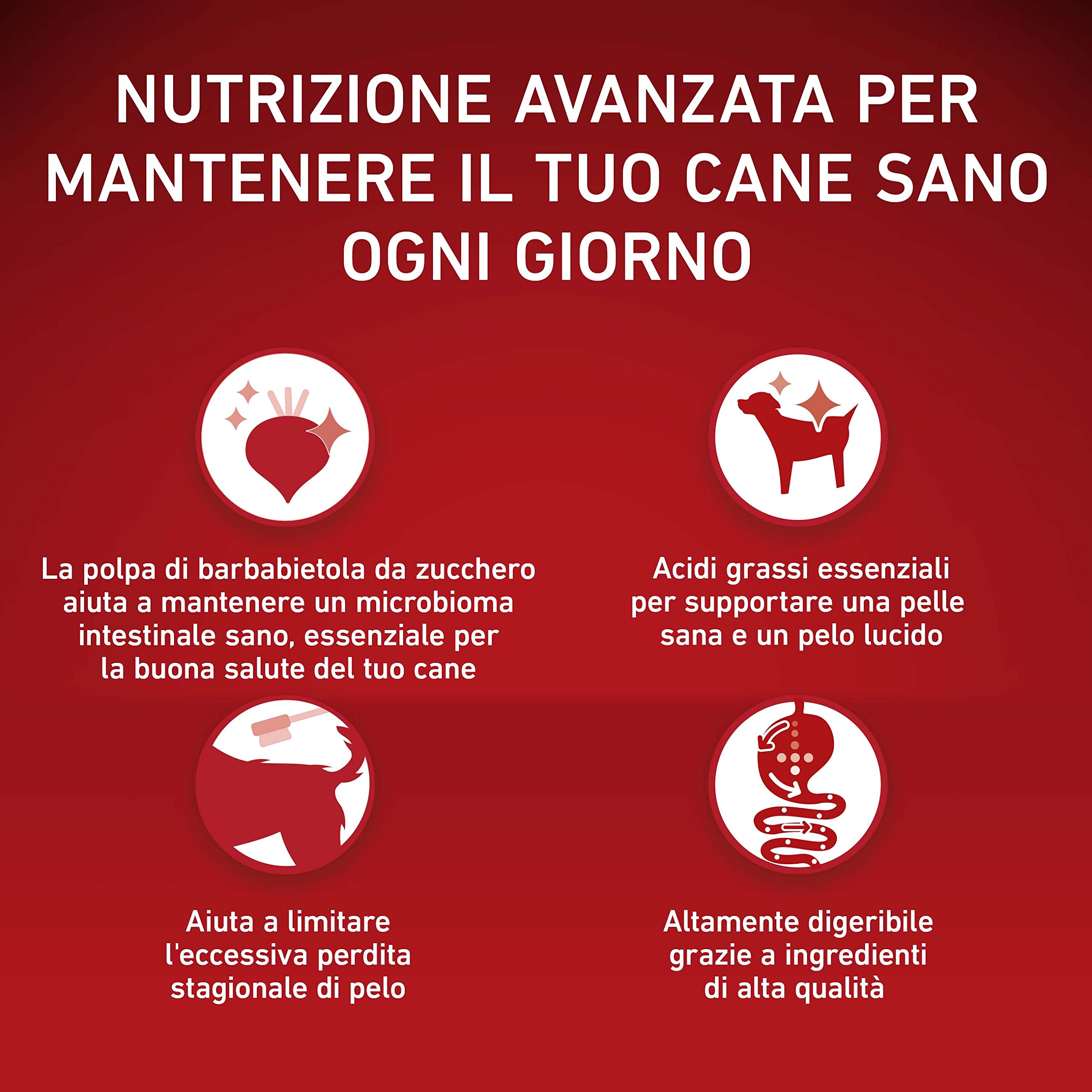 Purina One Mini < 10 kg Cuir et Poils Croquettes pour Petits Chiens Bœuf et Riz, 6 Boîtes de 1,5 kg