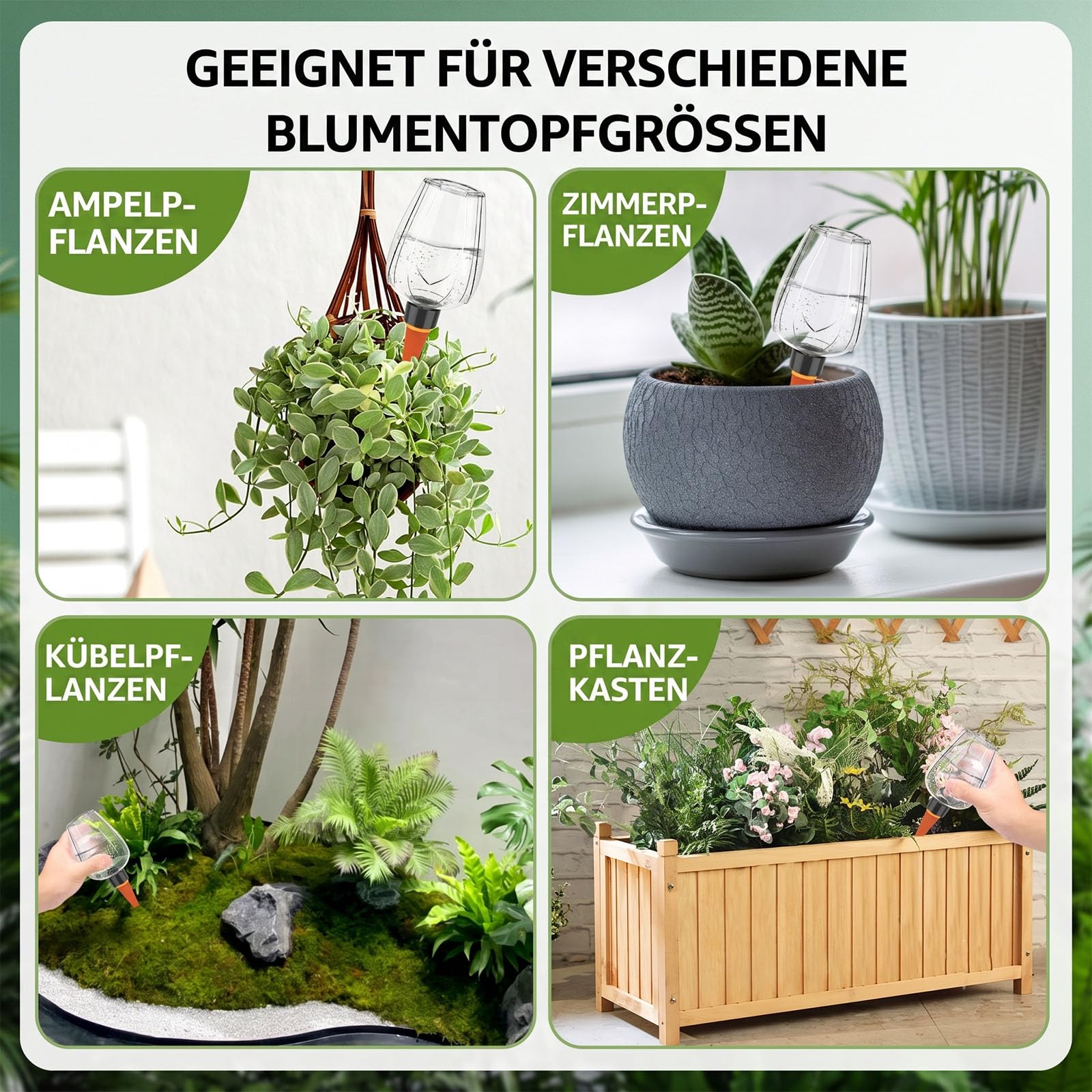Lot de 4/8 boules d'irrigation automatique pour plantes, 350 ml, système d'irrigation des plantes, auto-arrosage pour l'intérieur, le balcon et l'extérieur (8 pièces, transparent)