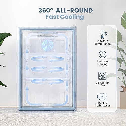 Miniatura 3 de Manastin Refrigerador de bebidas, mini refrigerador independiente con puerta de vidrio, estantes ajustables y pantalla digital de temperatura para