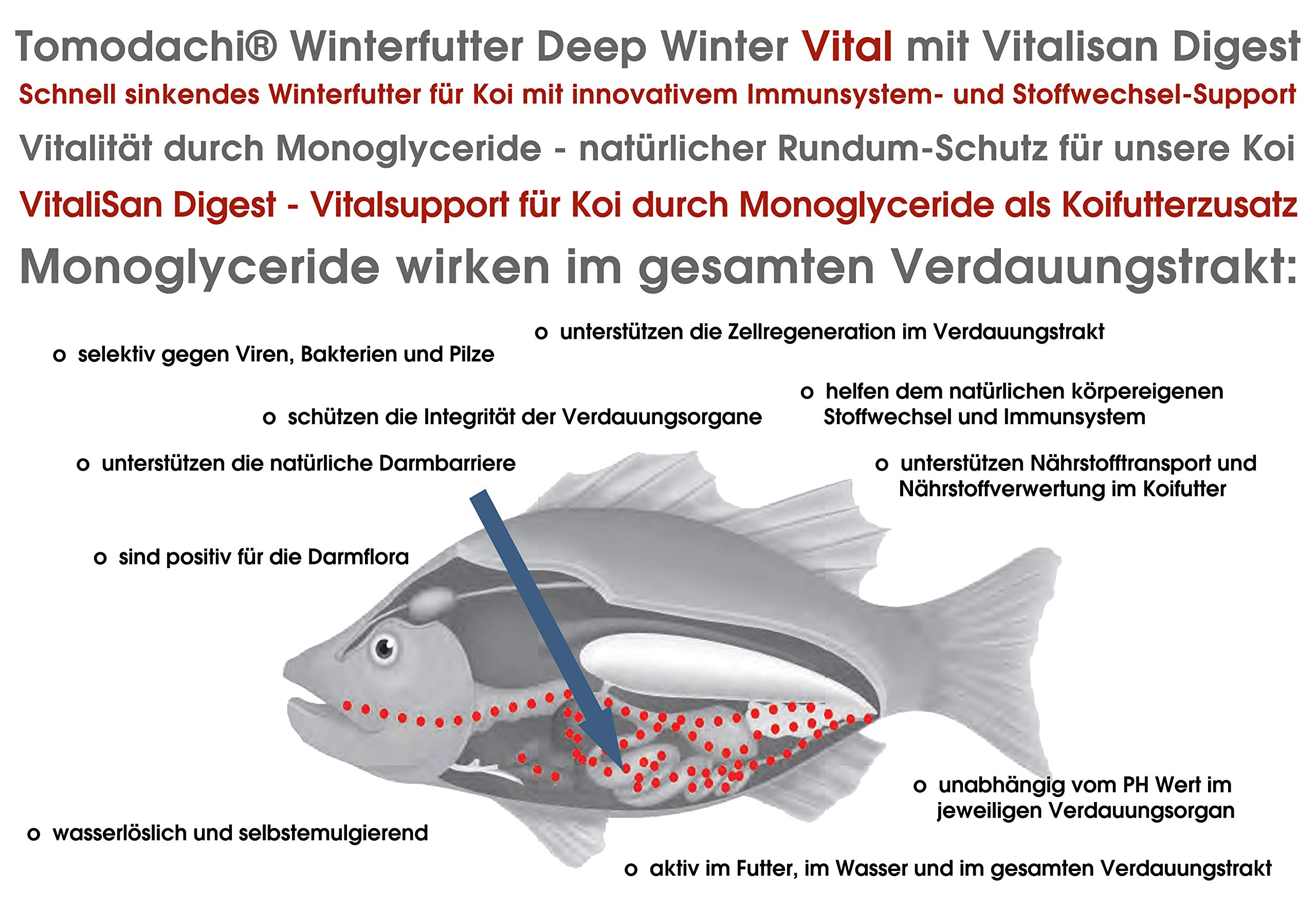 Winterfutter Koi Sinkfutter Tosai Koifutter antibakteriell Monoglyceride Koi Gesundheitsfutter für den Winter Energiefutter arktische Rohstoffe 3mm 5kg Sack