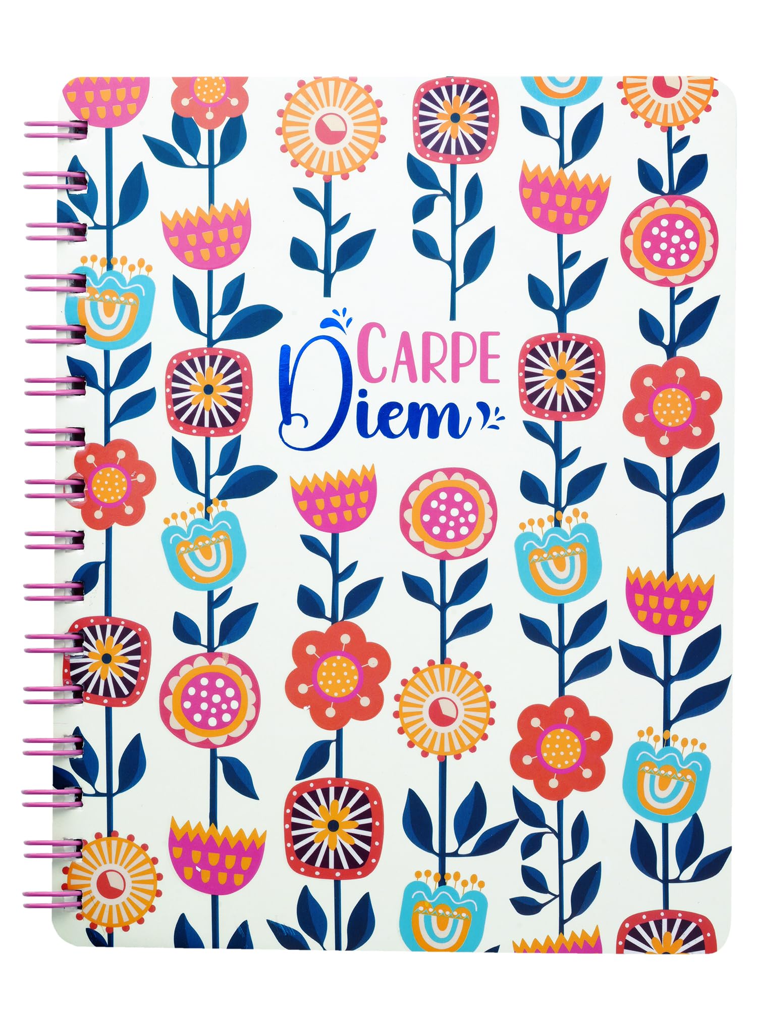 DOODLE B5 Hardbound Spiral Notebook Diary | 160 Undated Ruled Pages | 80 gsm Acid Free Paper | Open Flat and Write Comfortably - Carpe Diem