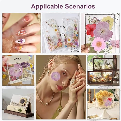 Miniatura 4 de 104 flores secas prensadas naturales de resina, flores secas para accesorios de resina, flores secas para álbumes de recortes, manualidades, moldes