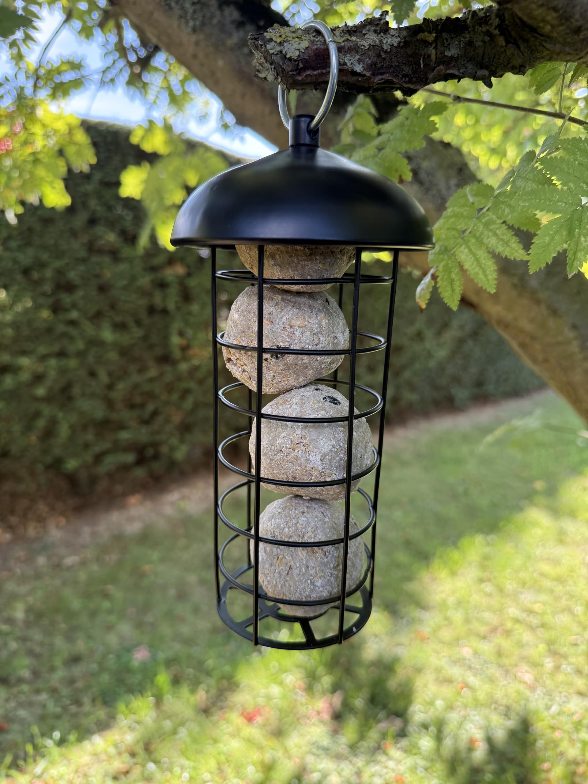 Oakdale Fatball Bird Feeder With Protective Dome - Heavy Duty Steel Cage, Twist & Lift For Easy Cleaning, Keeps Food Dry & Deters Pests