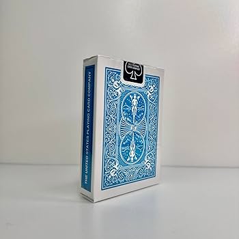 81K0GJxFICL._AC_UF350,