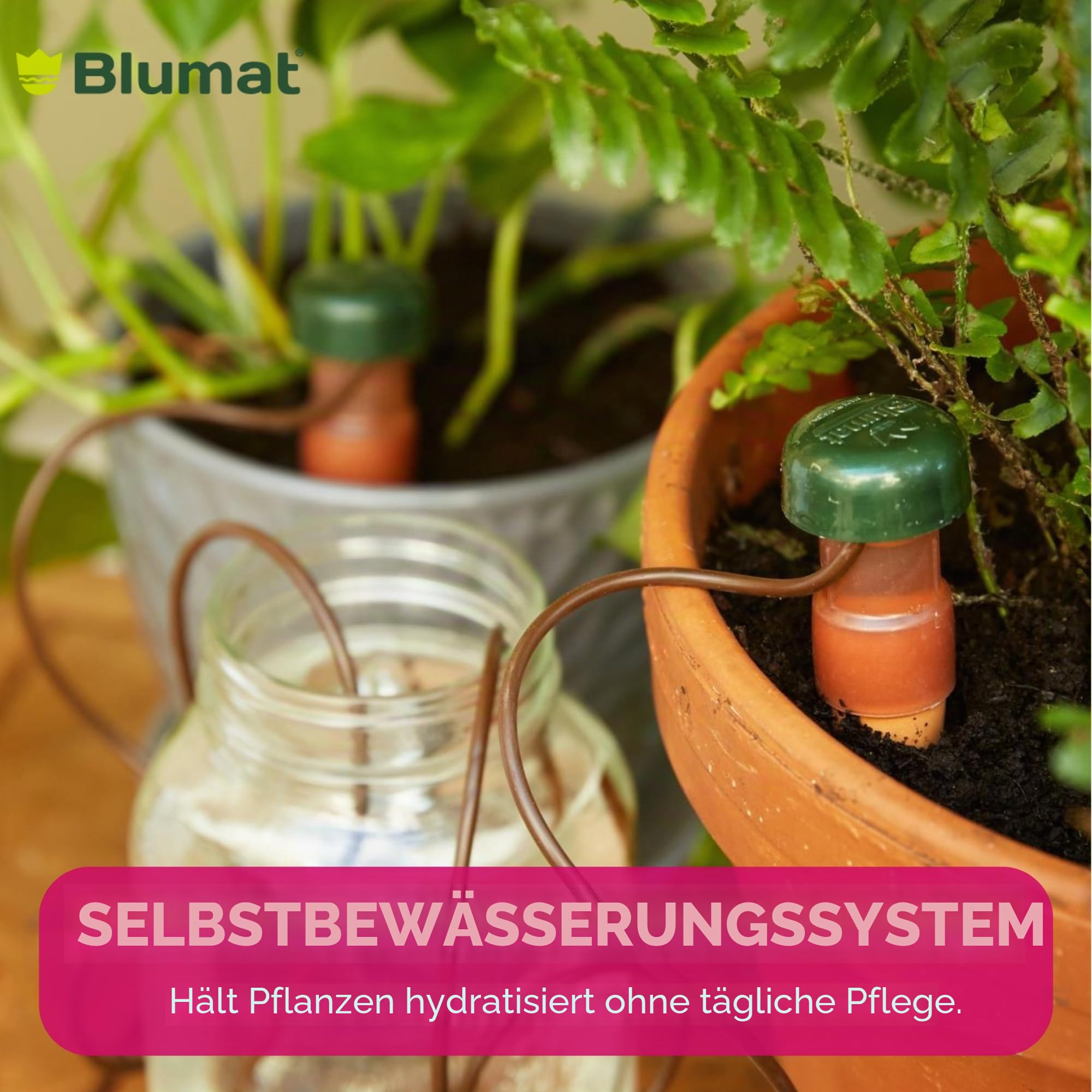 Blumat XL klassische Pflanzenbewässerungsstäbe | für den täglichen Gebrauch zu Hause oder im Urlaub | Wasserspikes für Pflanzen im Innen- oder Außenbereich | automatische Tropfbewässerung (4 Stück XL)