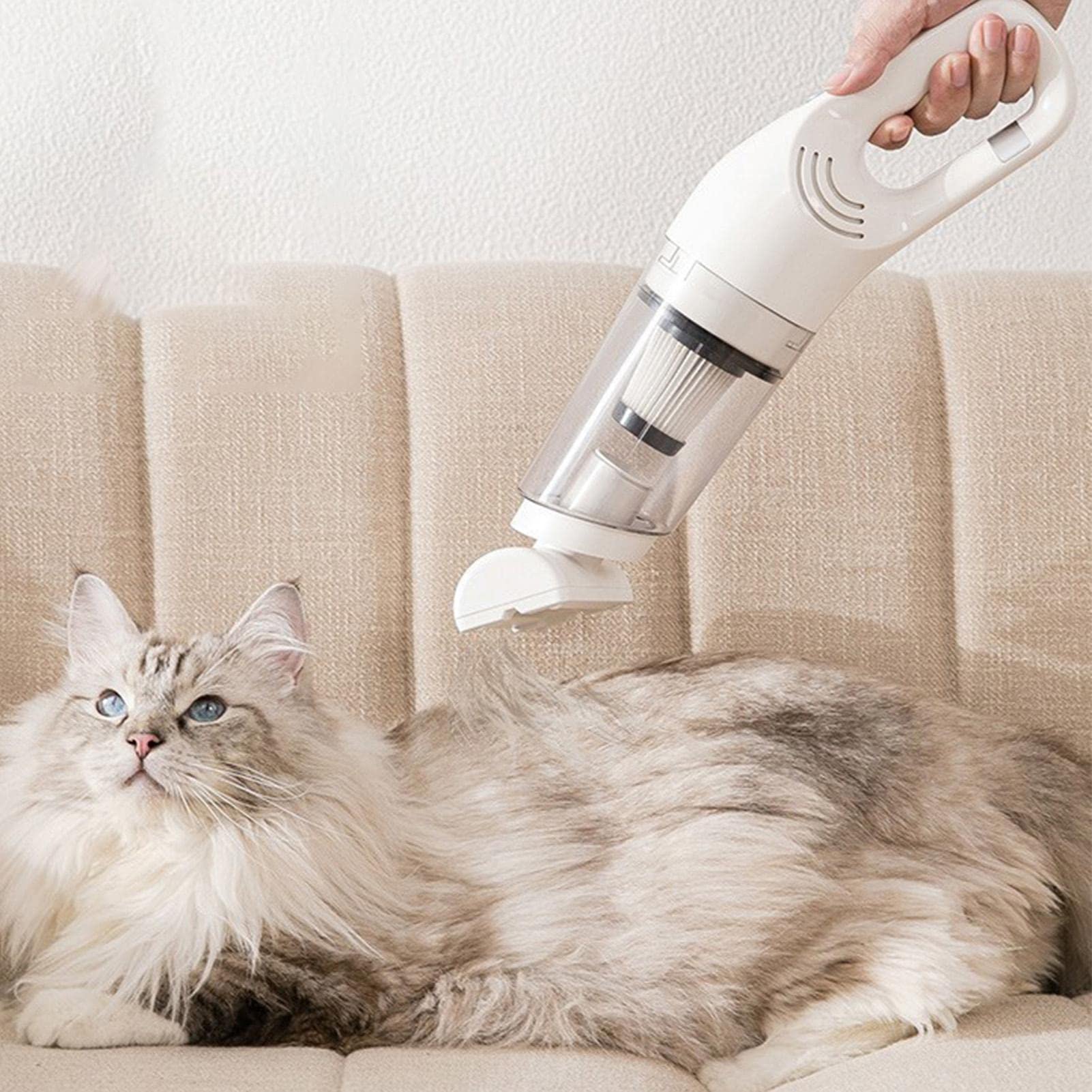 Amazon.co.jp : ハイパワー掃除機 | 大型吸引猫毛掃除機 - 猫、犬