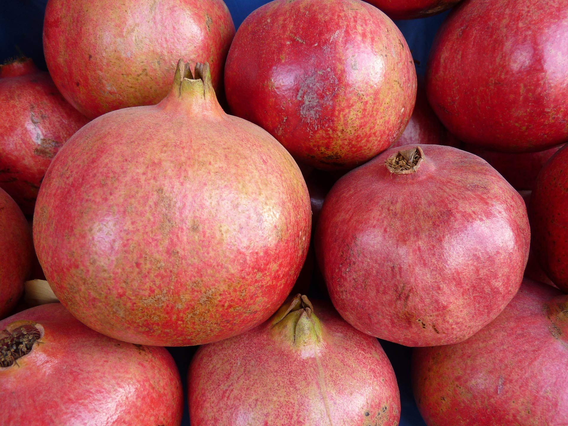 Granatäpfel große Früchte 6 bis 7 Stück Packung