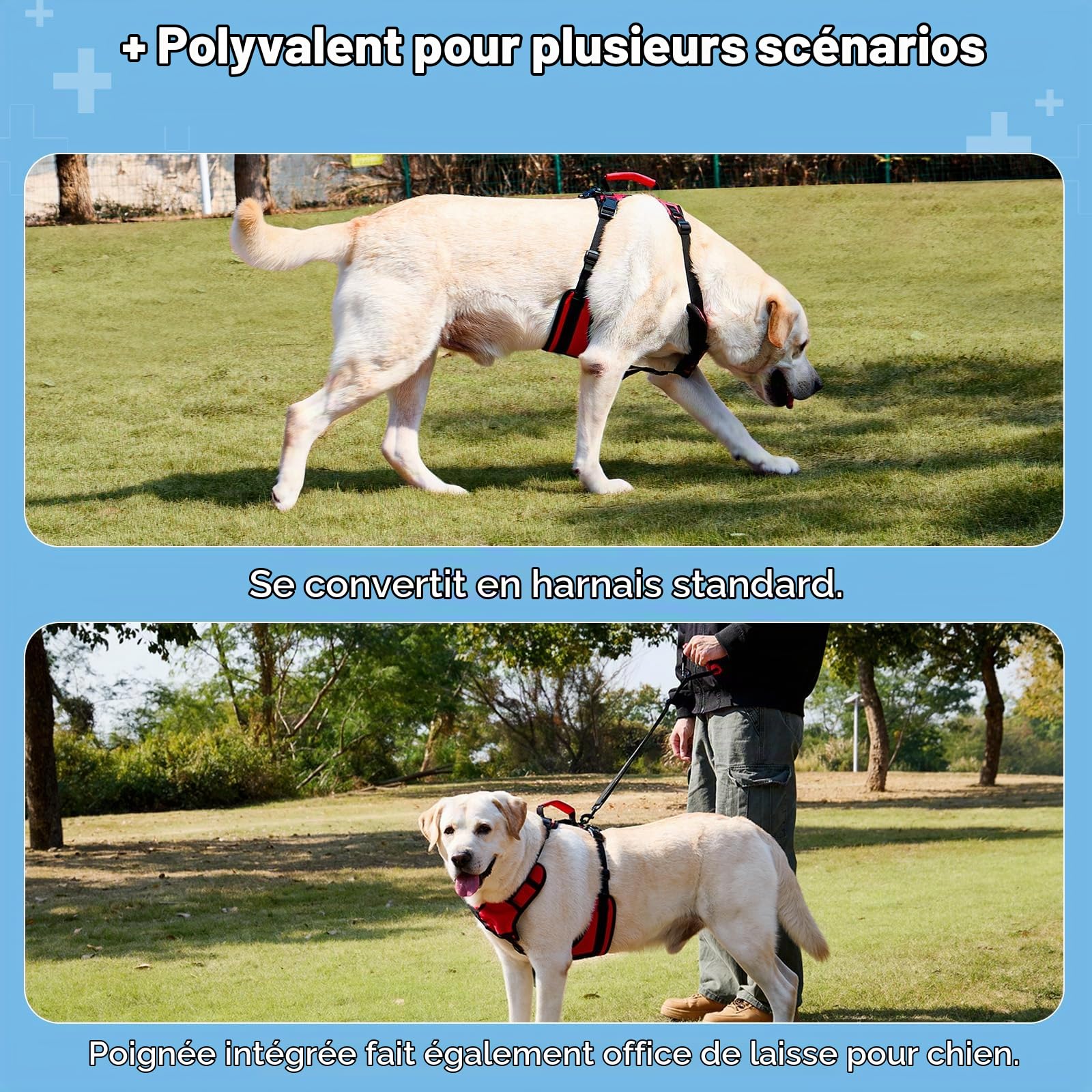 Harnais de Levage pour Grands Chiens, Harnais de Soutien Complet pour Escaliers et Faiblesse des Pattes Arrière, Aide à la Marche pour Chiens Seniors, Rouge, L