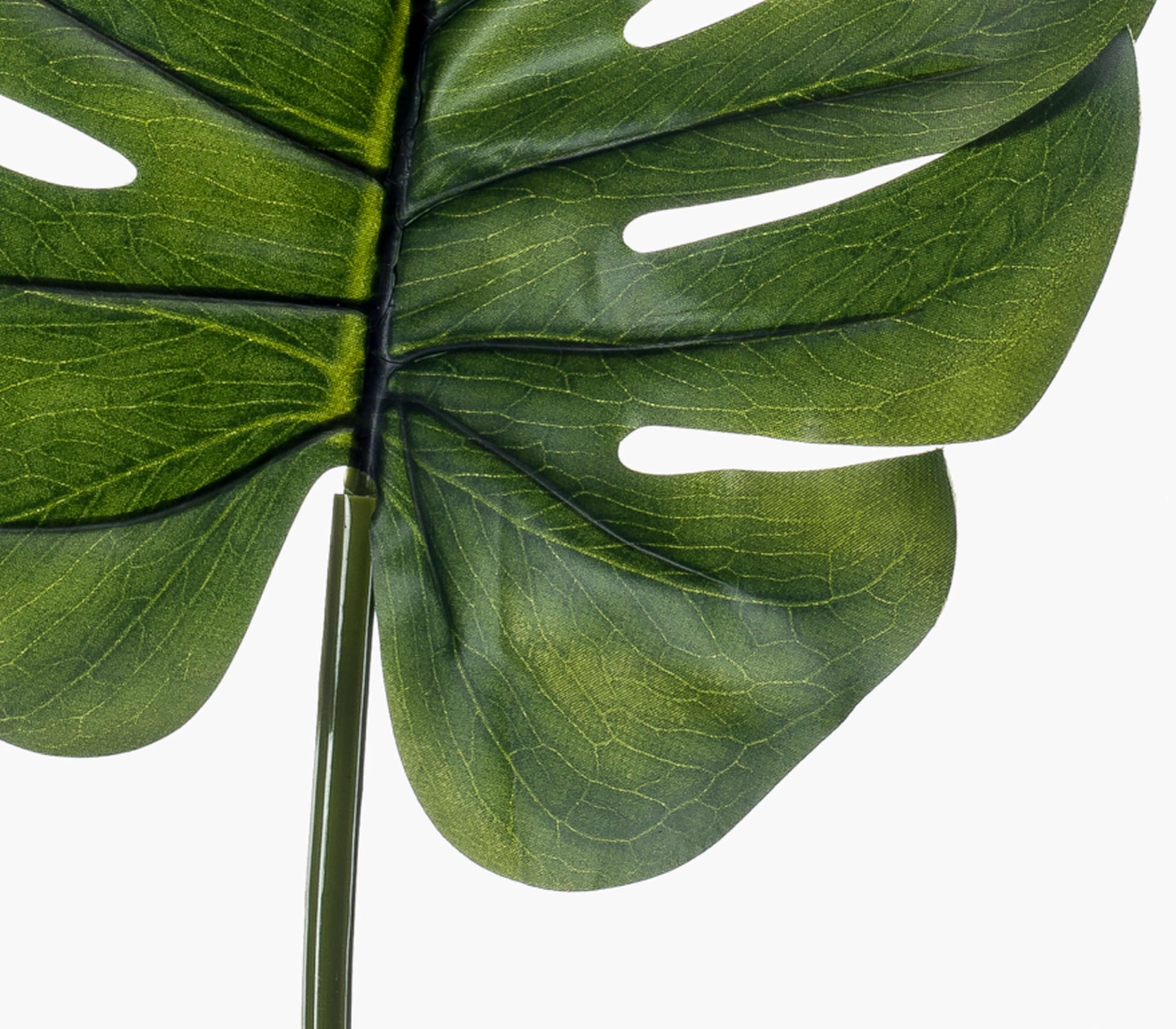 faux philodendron plant Philodendron Faux Plant main image 0
