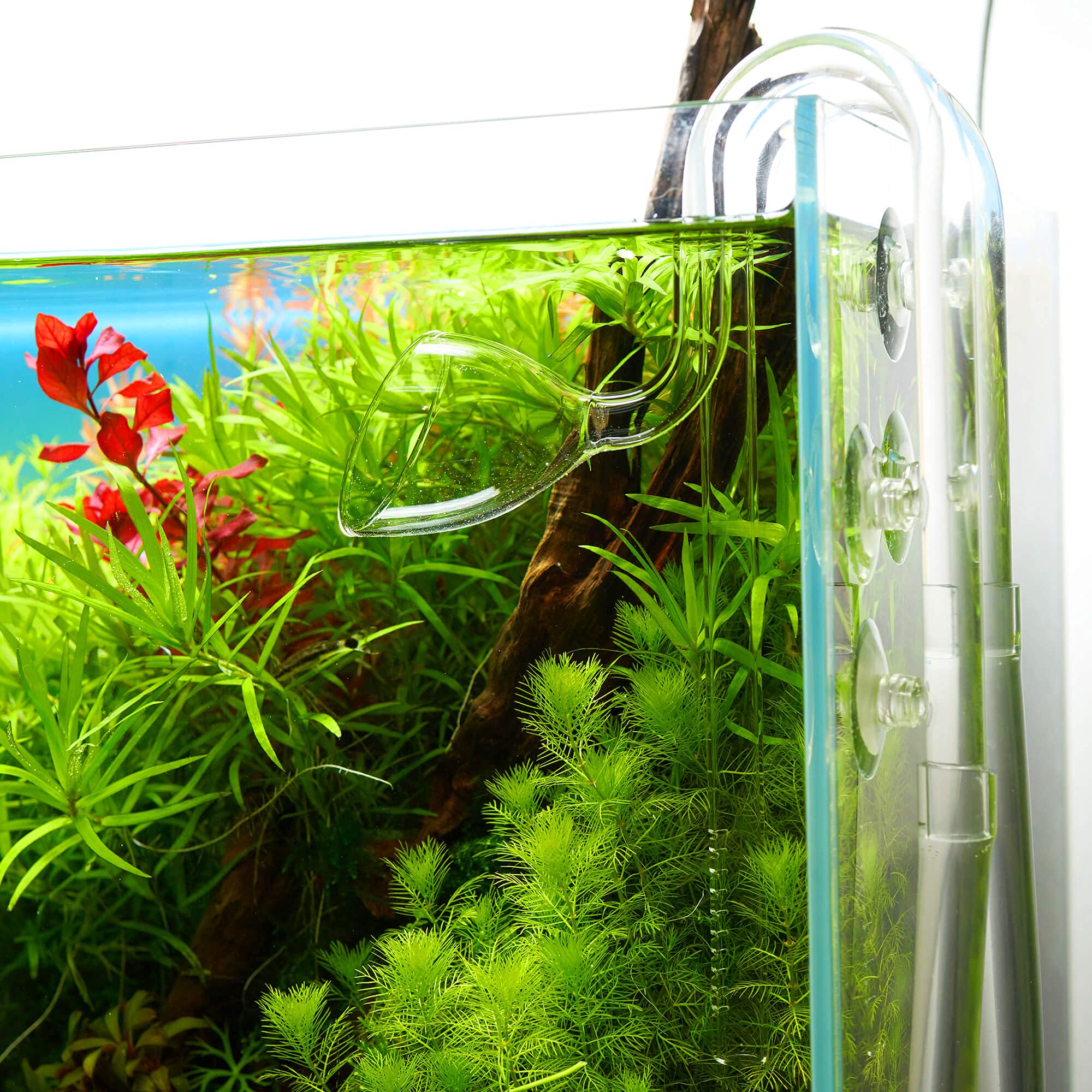 Lily Pipe Inflow-Outflow Set - Aquarium Filtereinlauf Filterauslauf (13mm für 12/16mm Schlauch, Inflow 23cm)