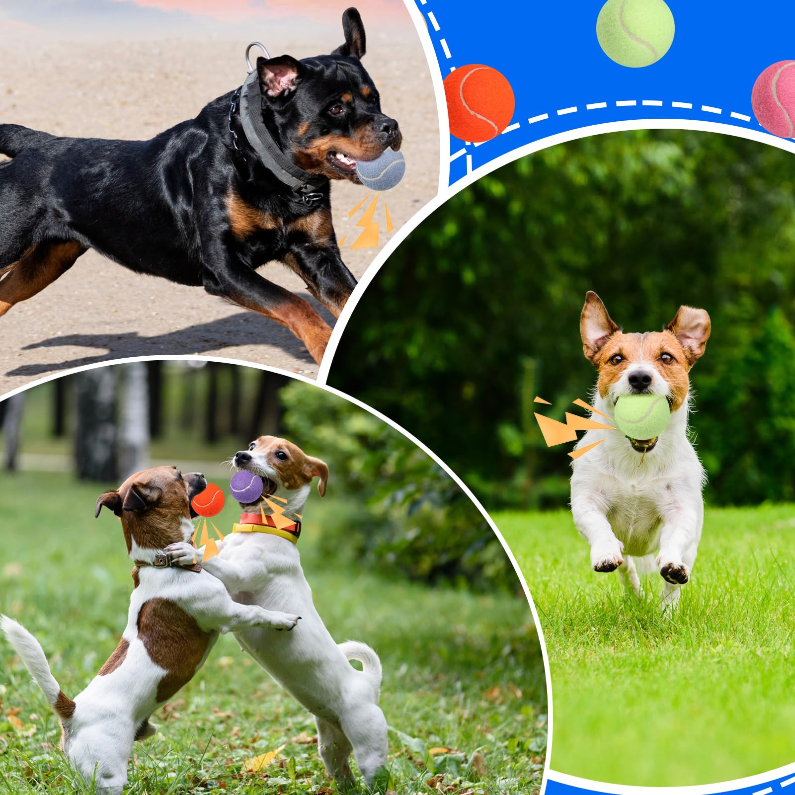 Liliful 50 pelotas de tenis chirriantes para perros de 2.5 pulgadas para jugar a mascotas, perros medianos y grandes, pelotas de cachorro para entrenamiento, juguete de pelota de perro con chirriador