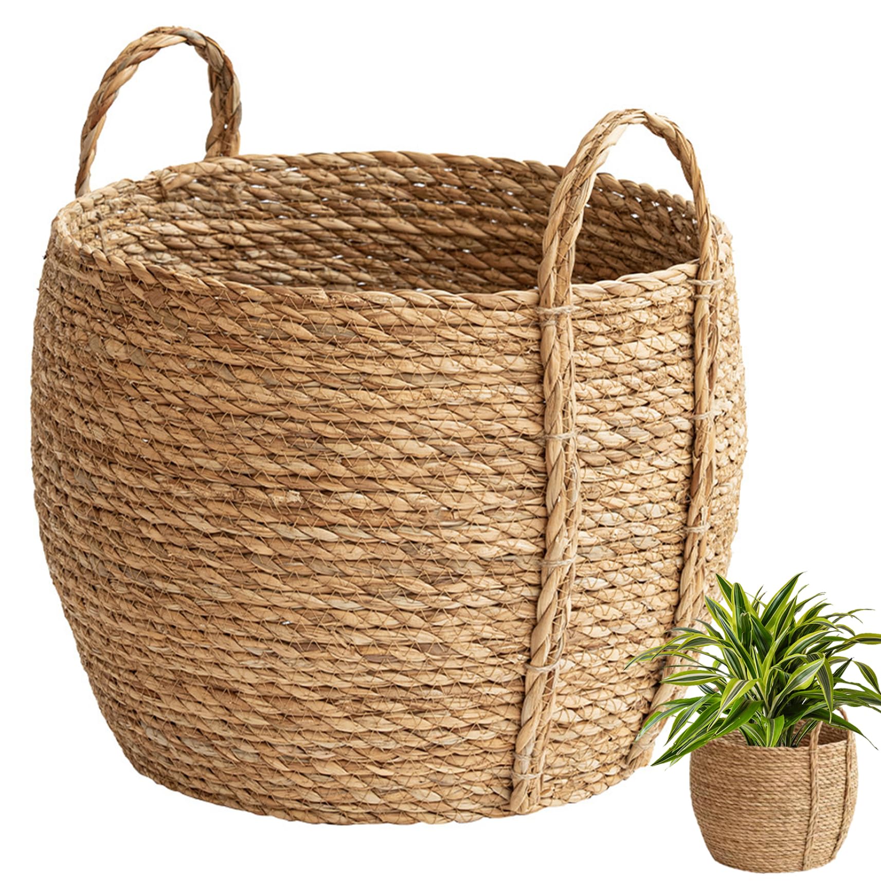Panier à plantes d'intérieur en osier pour sublimer le salon et ranger le linge avec élégance