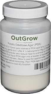 Potato Dextrose Agar (PDA)