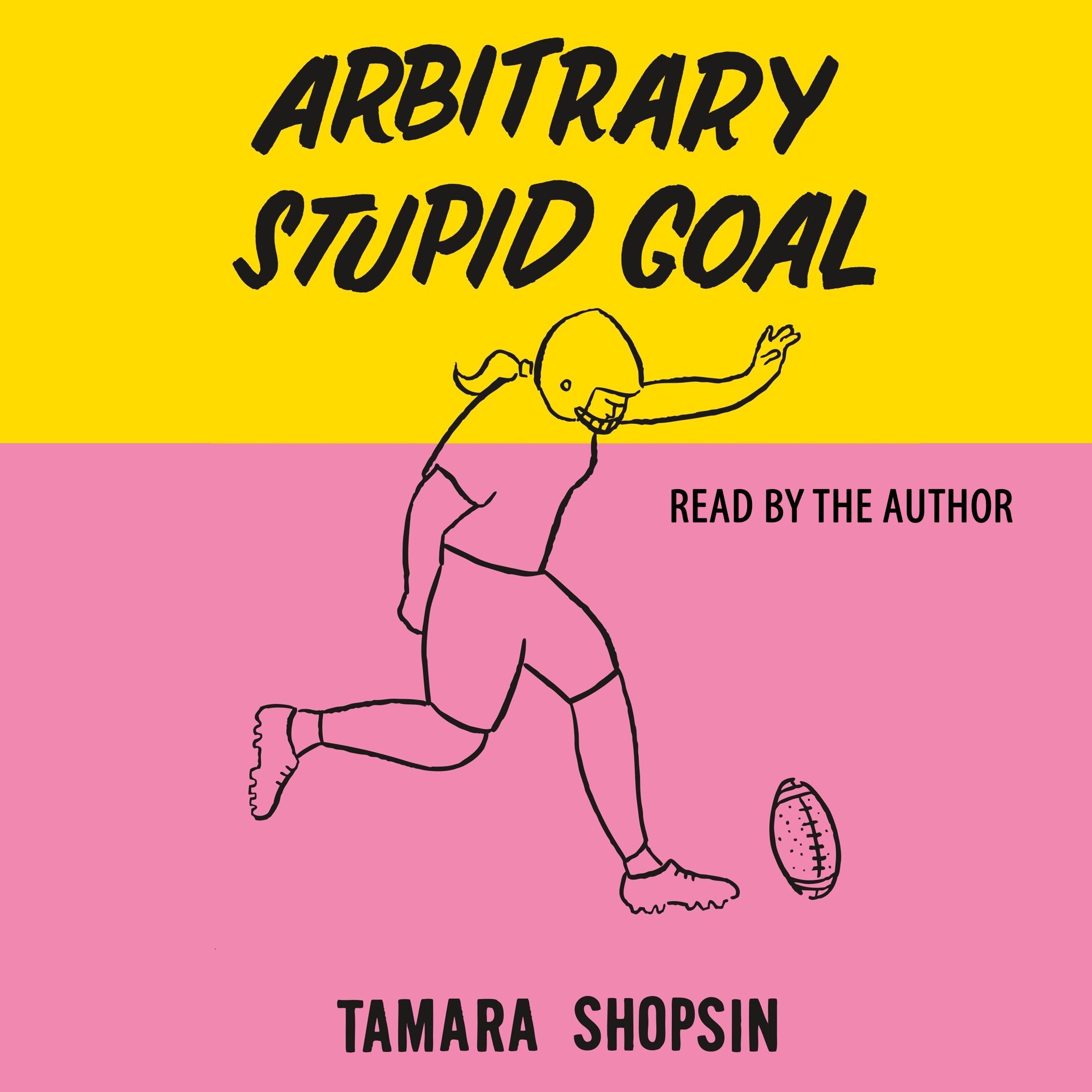 Cover art for Arbitrary Stupid Goal