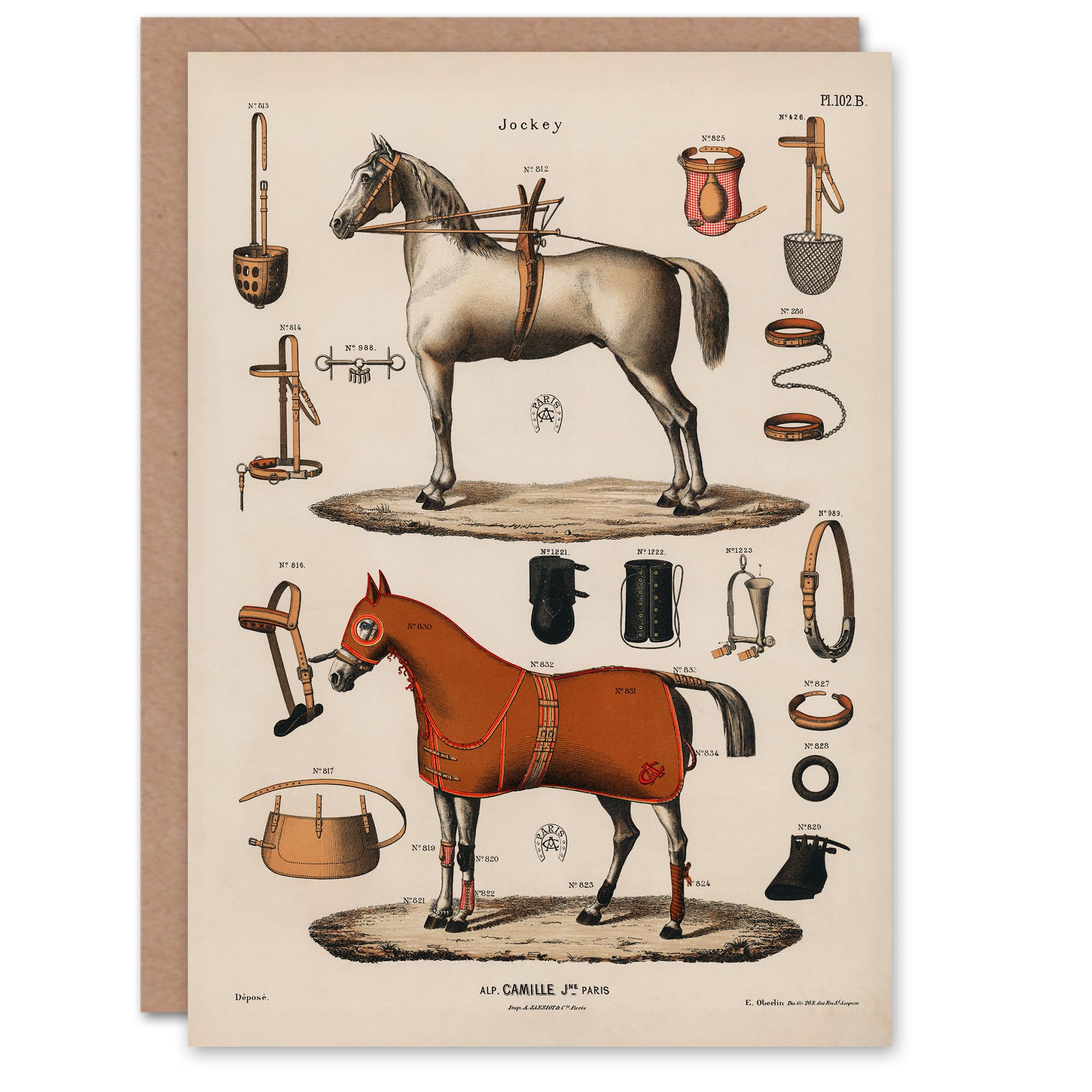 Artery8 Alp Camille Jeune Art Card Vintage Horseback Riding Equipment