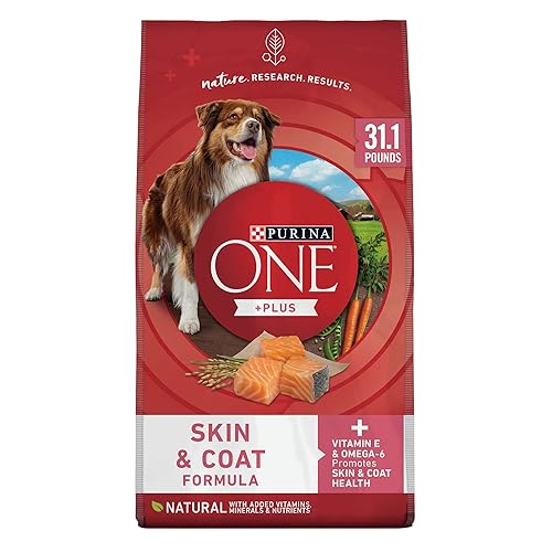 Purina ONE Natural, Sensitive Stomach Dry Dog Food, +Plus Skin & Coat Formula - 31.1 lb. Bag - 31.1 Pound (Pack of 1)