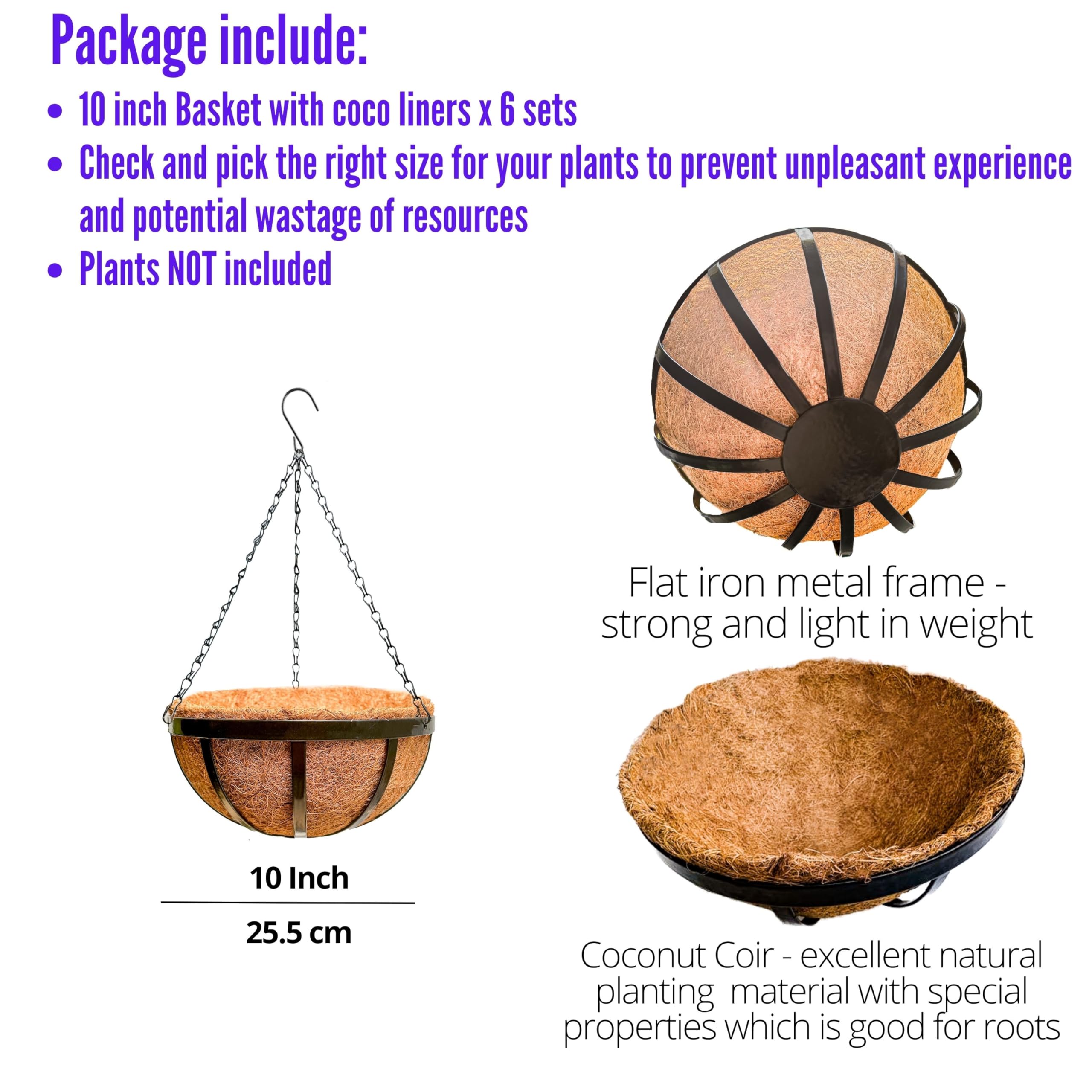 https://m.media-amazon.com/images/I/81K0YJ89YpL.jpg
