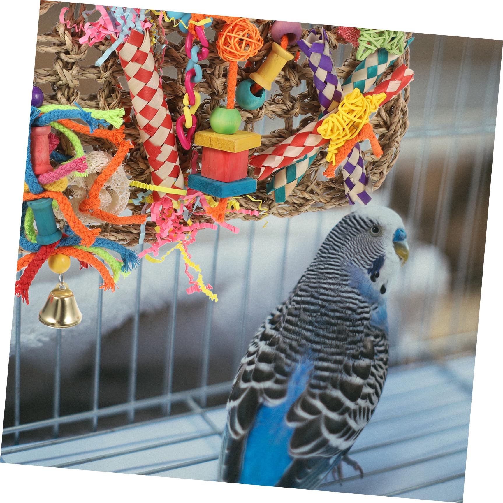 BESPORTBLE 2pièces Multi-Fonctionnel Jouet à Mâcher pour Oiseaux Tapis De Vannerie pour Perruches Et Petits Perroquets Accessoire De Cage Suspendu