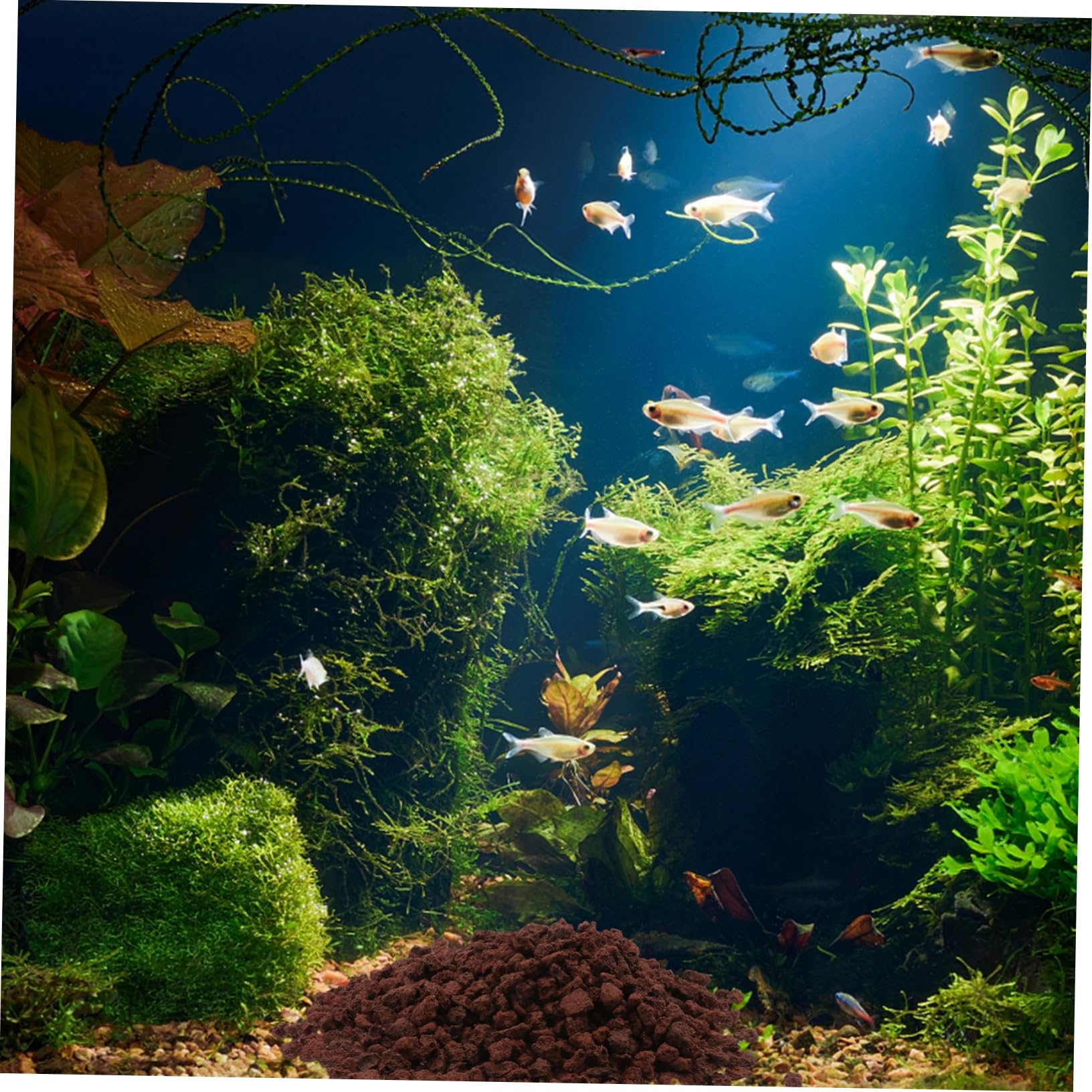 Gravier De Roche Volcanique pour Aquarium 500 G Habitat pour Aquarium Pierre De Récif Artificielle Paysage Naturel sans Danger pour Les Poissons