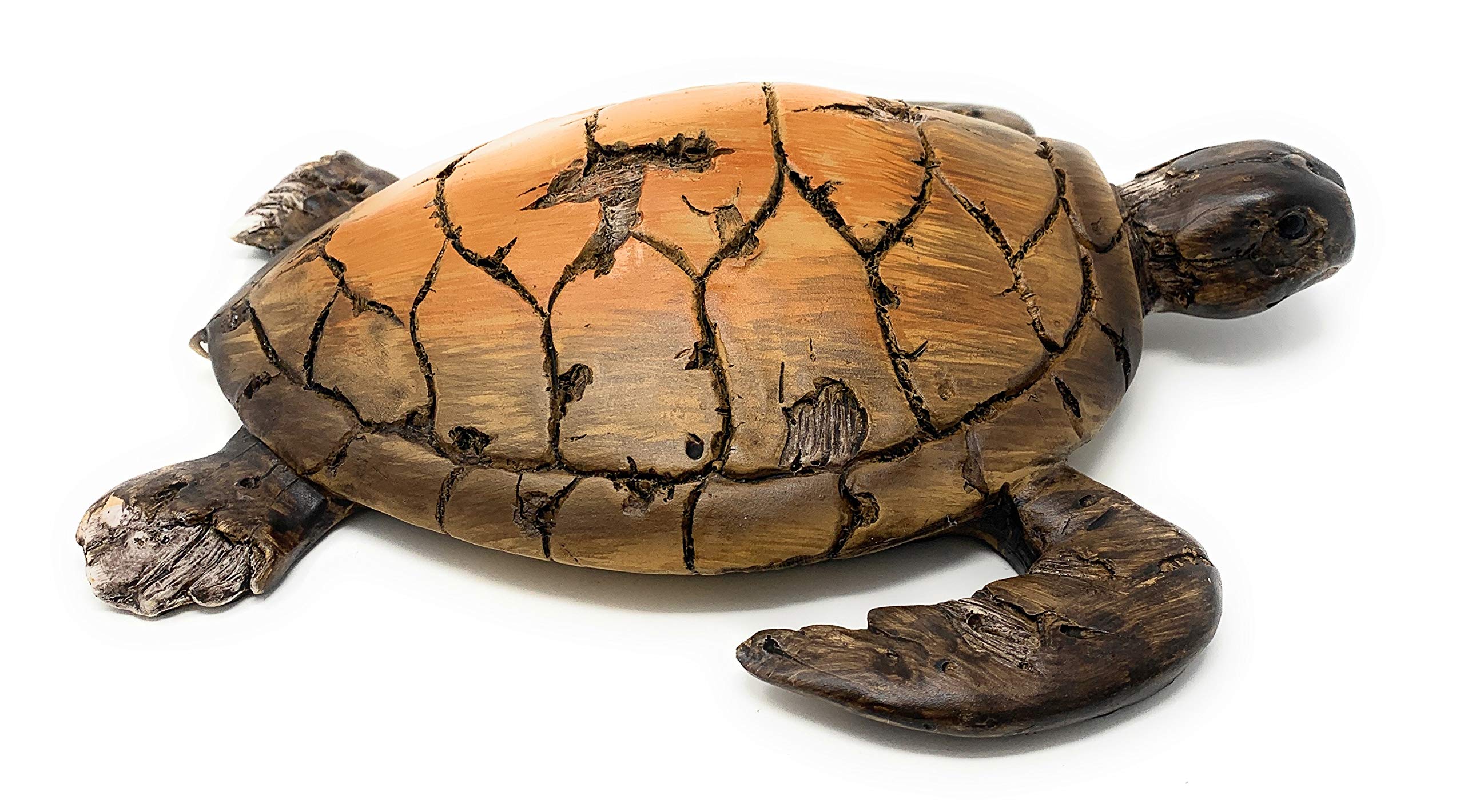Amazon.com: Globe Imports Loggerhead Sea Turtle Resin Statue with