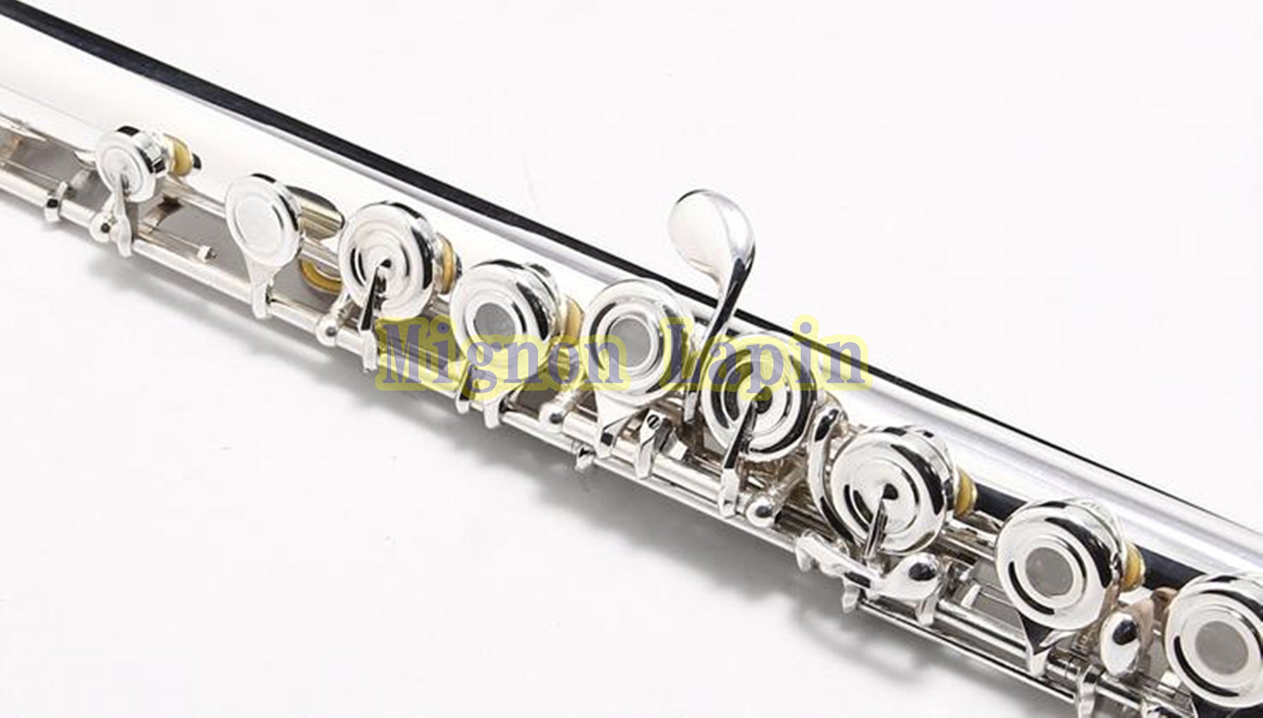 Amazon.co.jp: Mignon Lapin フルートタンポ 16点セット 修理 交換