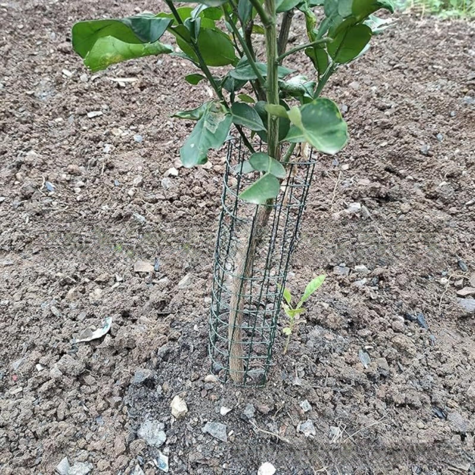 Copertura per tronco di albero in metallo, confezione da 12 protezioni per piante con rete, fascette e chiodi da terra per la protezione degli animali e la sicurezza delle attrezzature da giardino