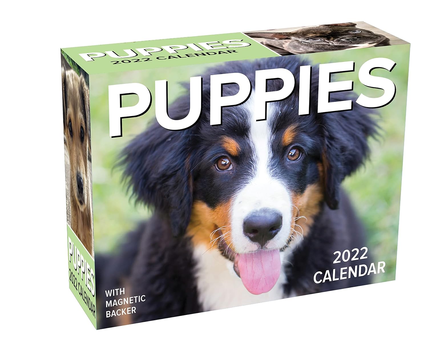 Puppies 2022 Mini DaytoDay Calendar Andrews McMeel Publishing