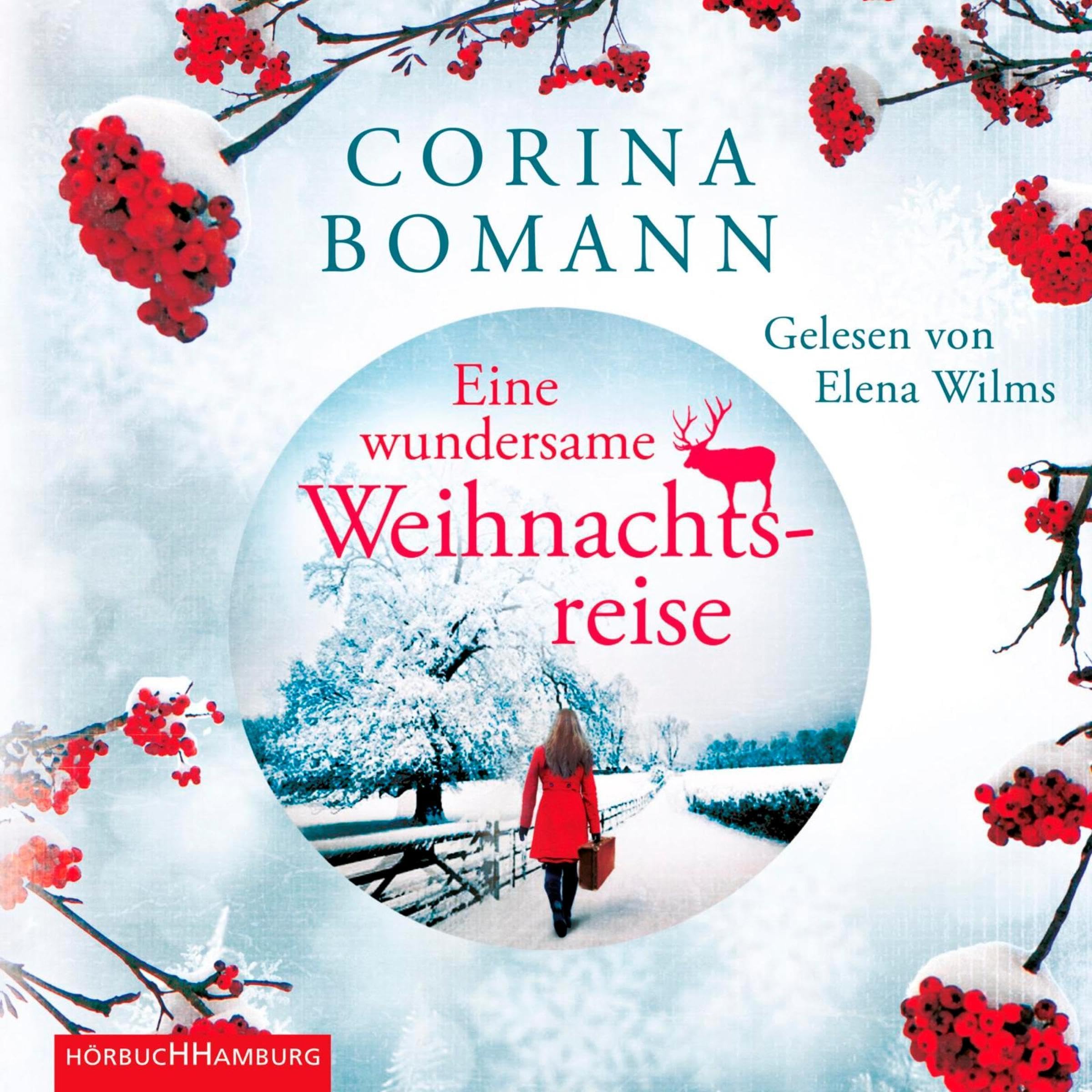 Cover art for Eine wundersame Weihnachtsreise