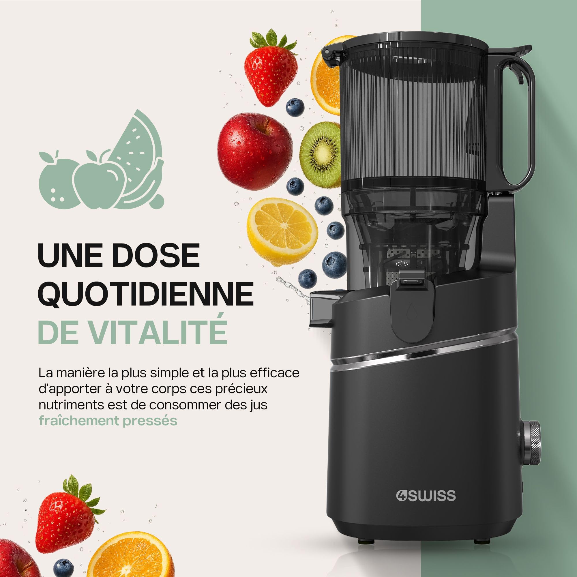Centrifugeuse Extracteur de Jus 135 mm, Masticating Juicer 0,5L, 37 tr/min, 4SWISS