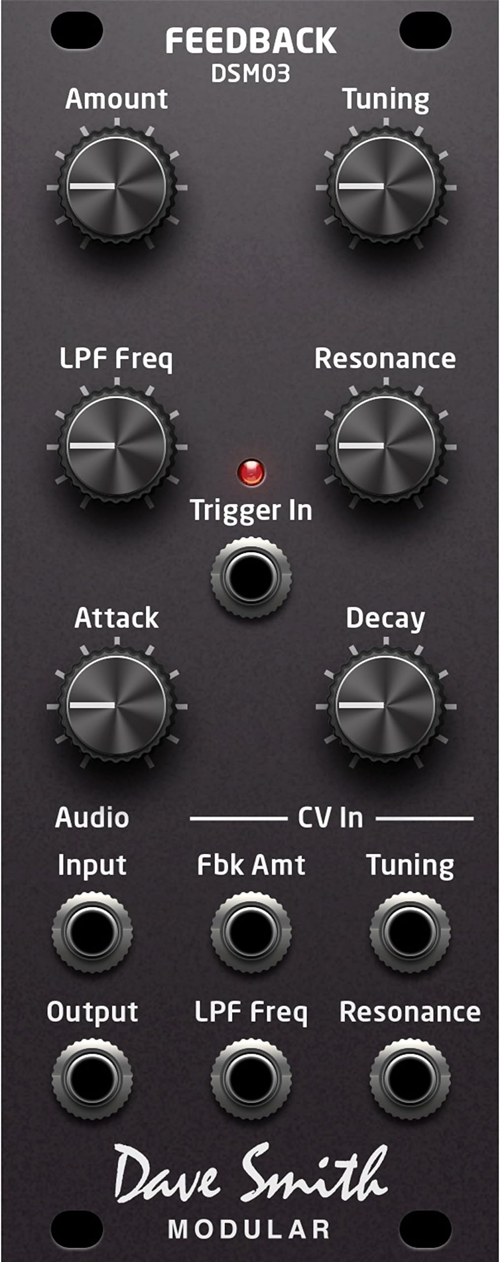 DSM03 Feedback Module