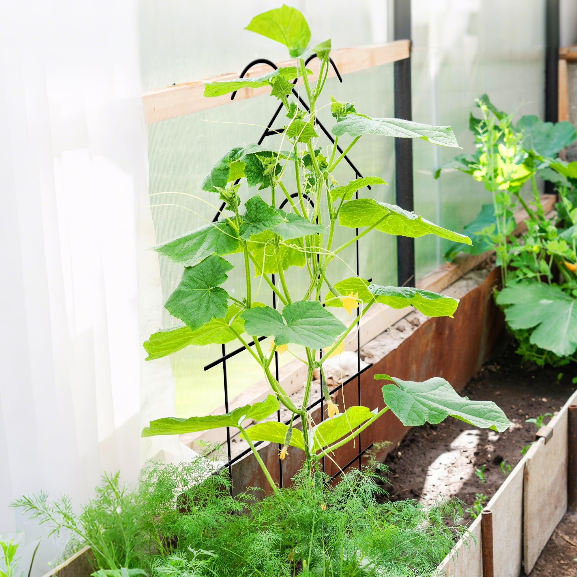 ARIFARO Rankgitter Garten-Trellis, 61cm 4er-Pack Metall-Pflanzentrellis für Kletterpflanzen für den Innen- und Außenbereich, Garten-Trellis für Topfpflanzen, Kletterreben, Zimmerpflanzen, Schwarz