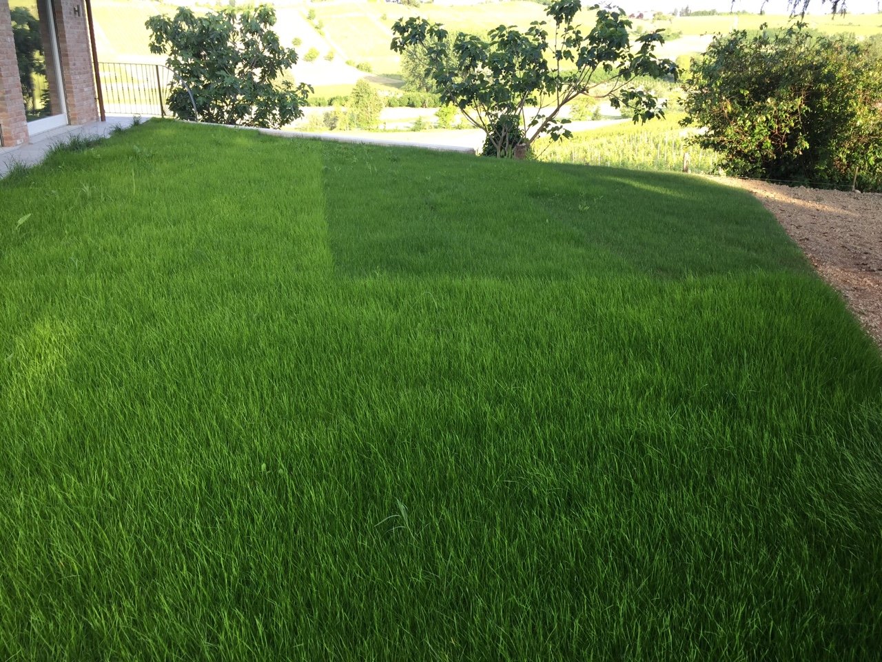Biotessuto preseminato Viresco Pratens (50 m2)