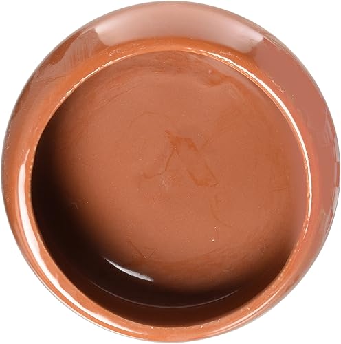 Miniatura 2 de Plato ergonómico Living World, L, Terracotta