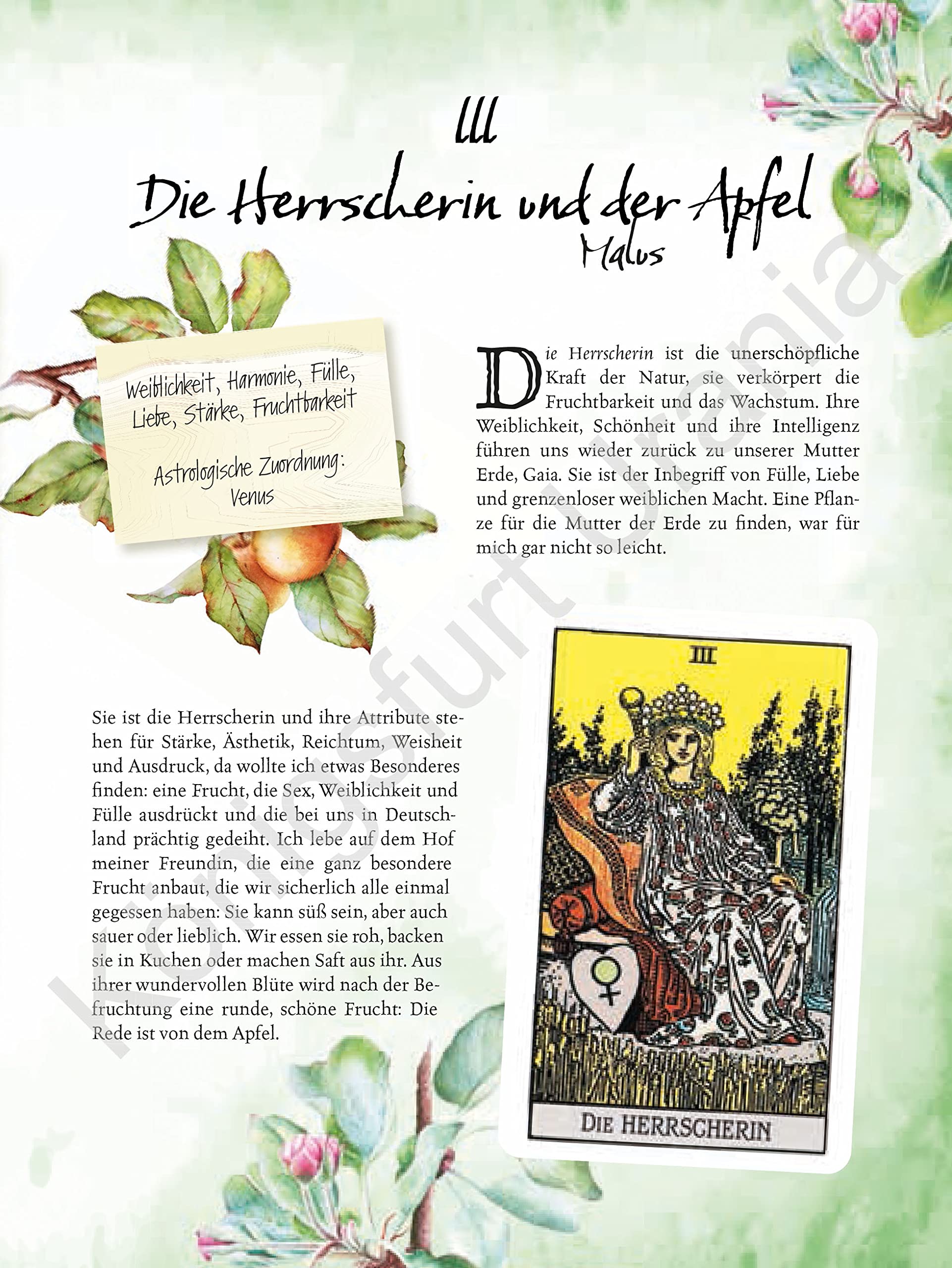 Tarot & Grüne Magie: Werde eine Green Witch mit Tarotkarten (Tarotbuch für moderne, grüne Hexen)